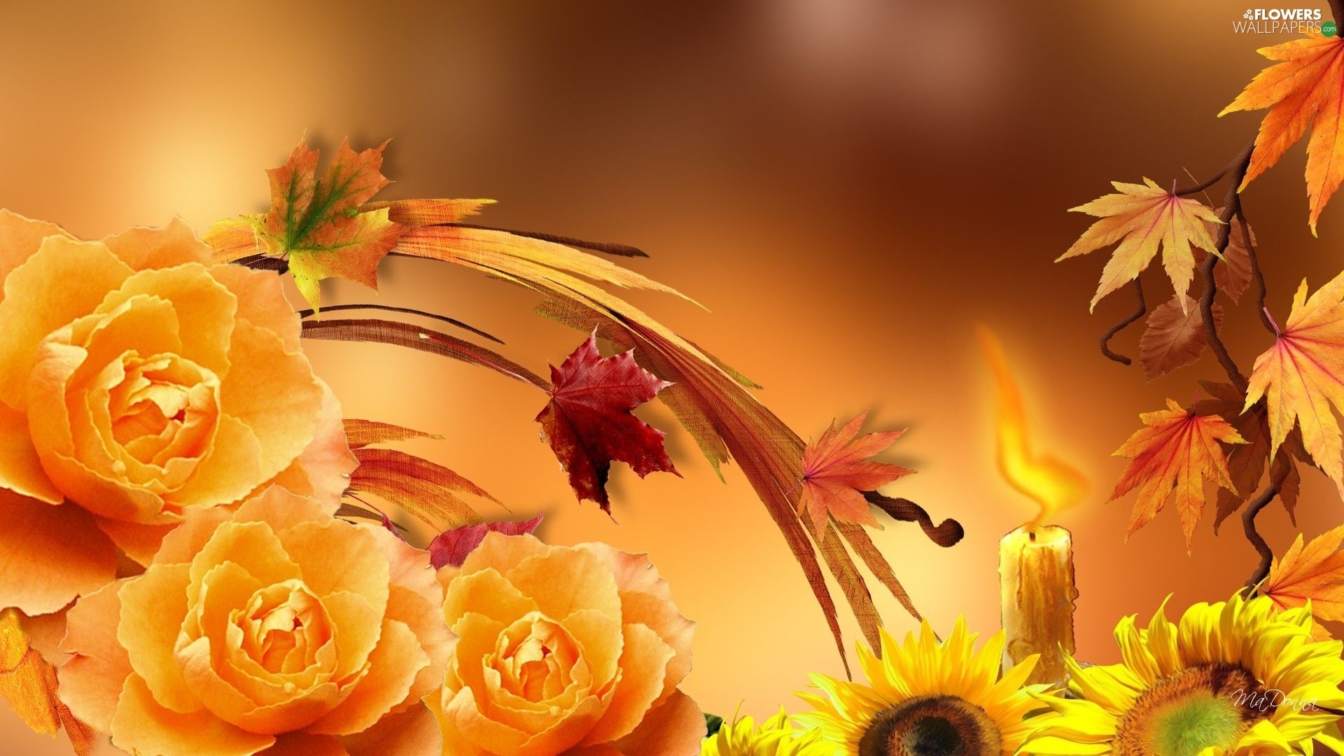 autumn, Nice sunflowers, Leaf, roses wallpaper: 1920x1080