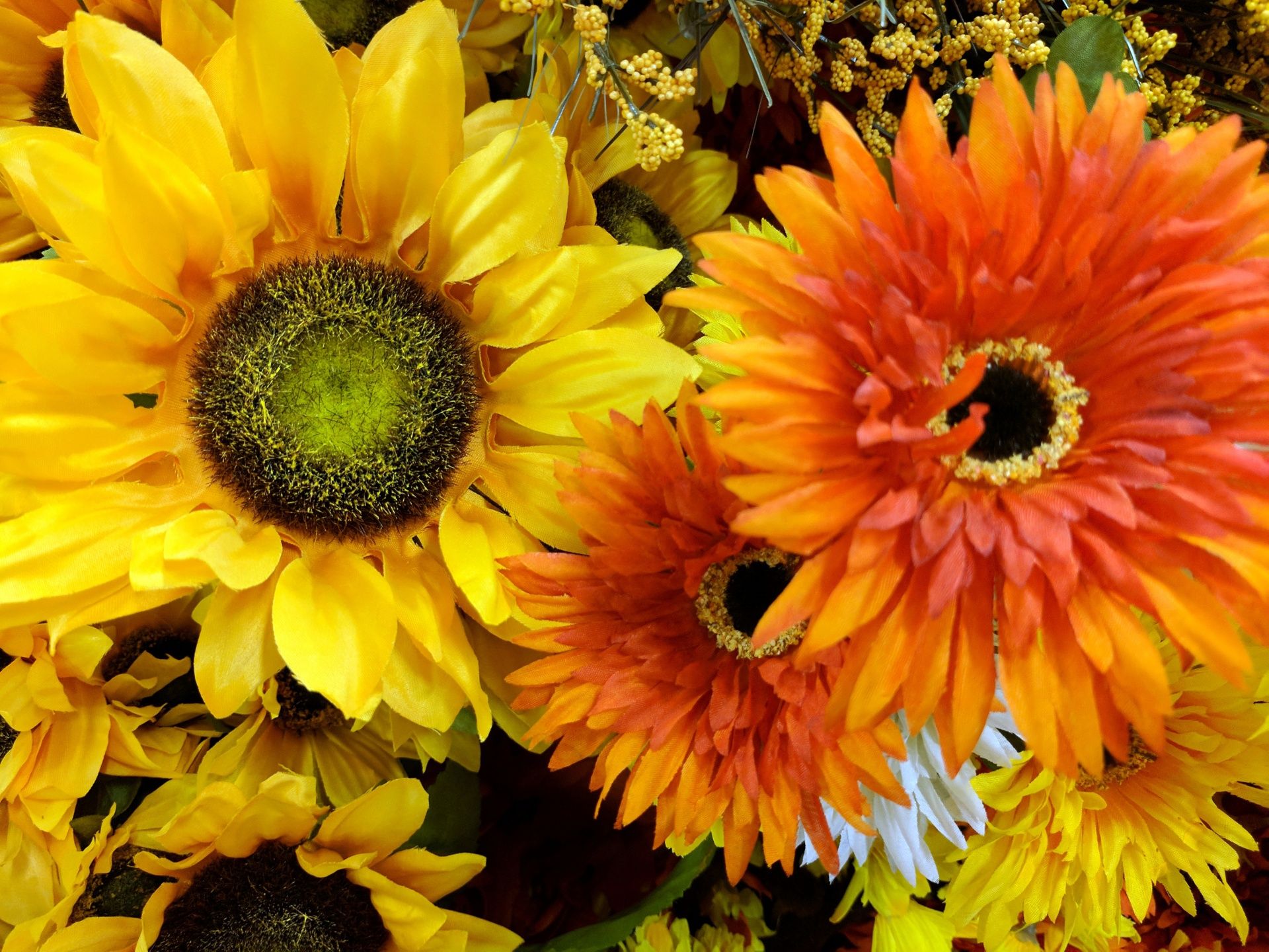 Autumn Flowers Background Free Domain Picture