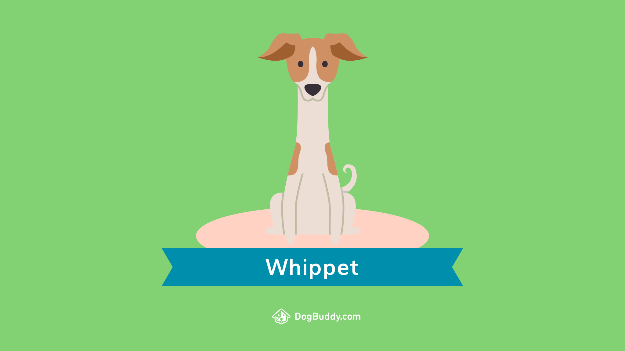 Woofpaper: Whippet