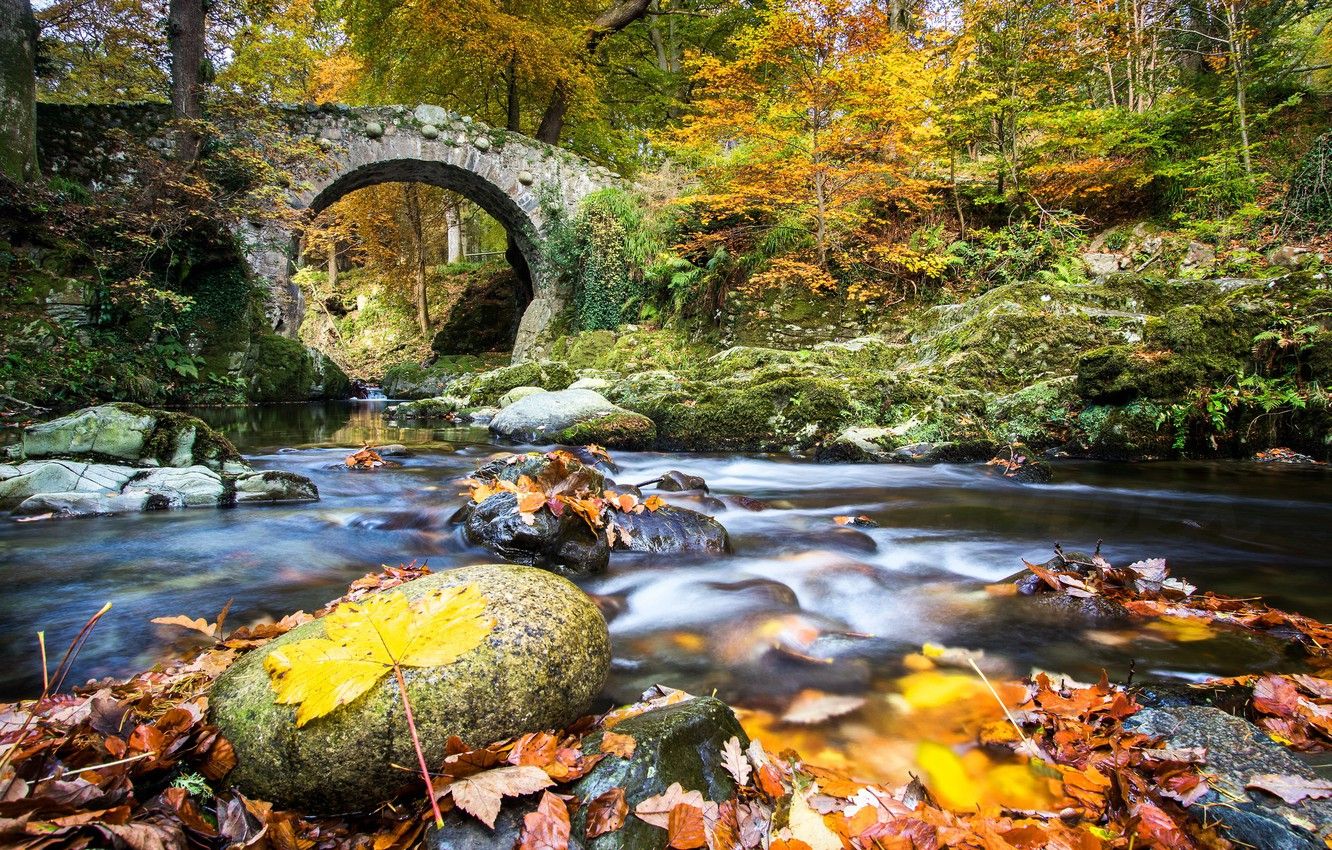 Free download Wallpaper autumn forest leaves bridge river Northern Ireland [1332x850] for your Desktop, Mobile & Tablet. Explore Northern Ireland Wallpaper 1680X1050. Northern Ireland Wallpaper 1680X Northern Ireland Wallpaper