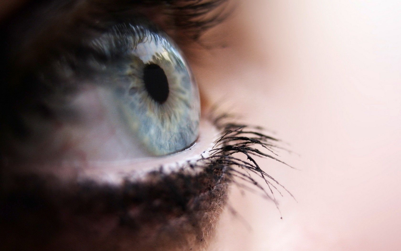eyes, Macro, Blue Eyes, Eyelashes Wallpaper HD / Desktop and Mobile Background
