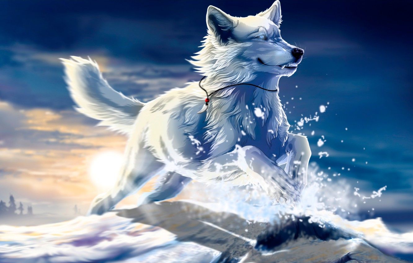 Wallpaper white, the sun, snow, sunset, jump, Wolf, art, Fang, be free, wolfroad image for desktop, section животные