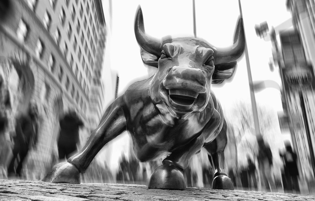 Wallpaper New York, USA, bull, Wall street, financial district image for desktop, section город