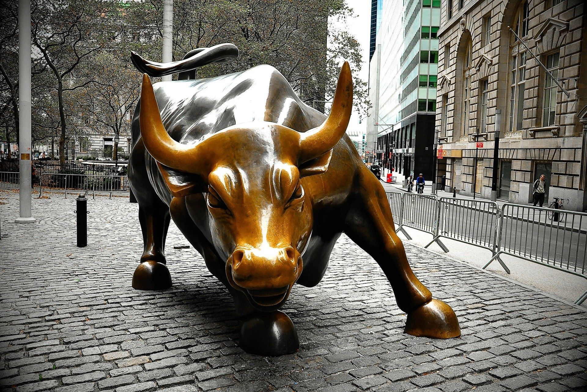 The figure of a bull in full amount on wall Street in Manhattan