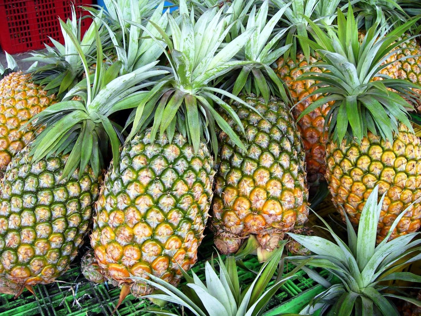 Pineapple HD Wallpaperwallpaper.net