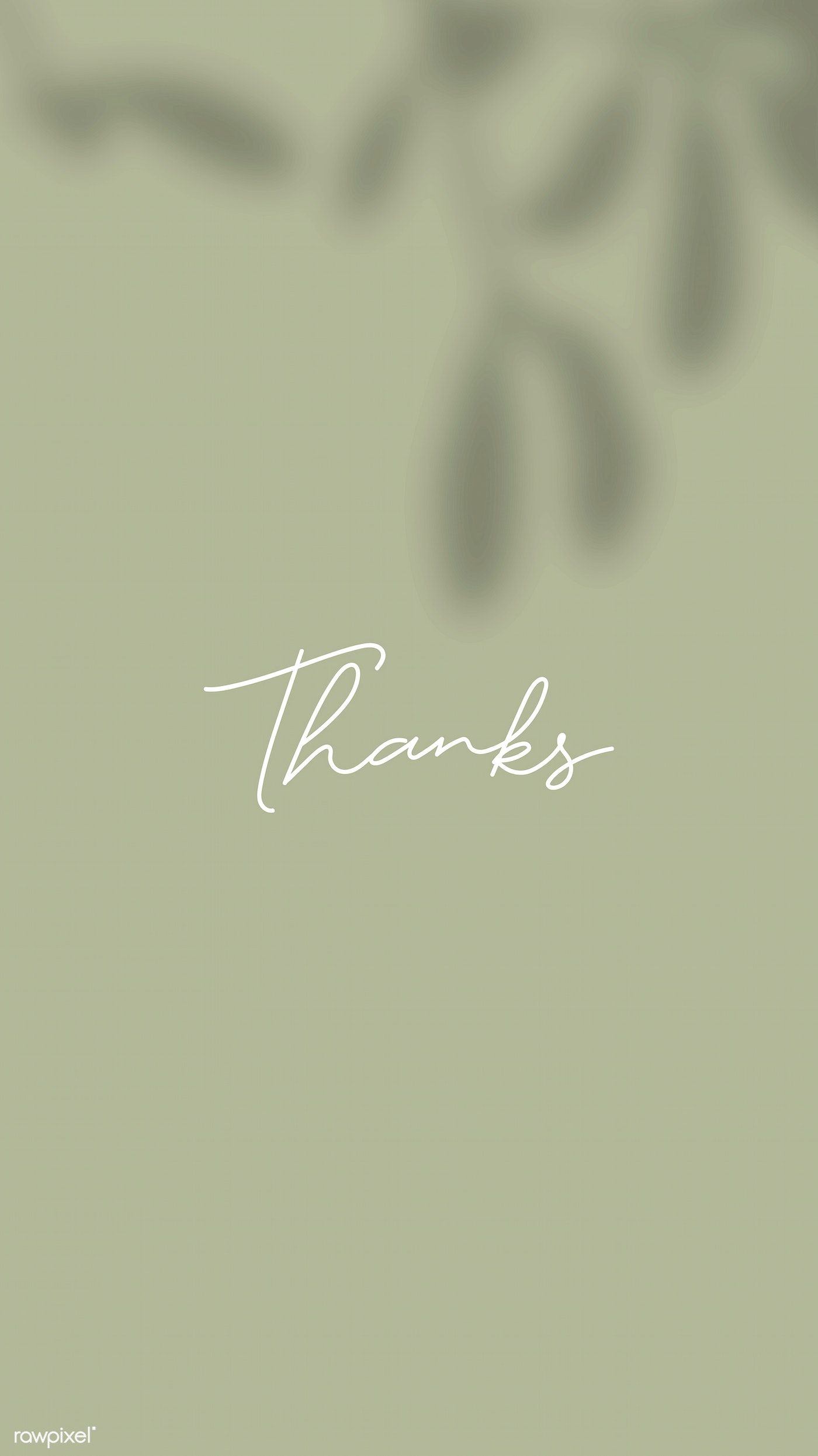 Thanks on a green background mobile wallpaper vector. free image by rawpixel.com / Aew ในปี 2020
