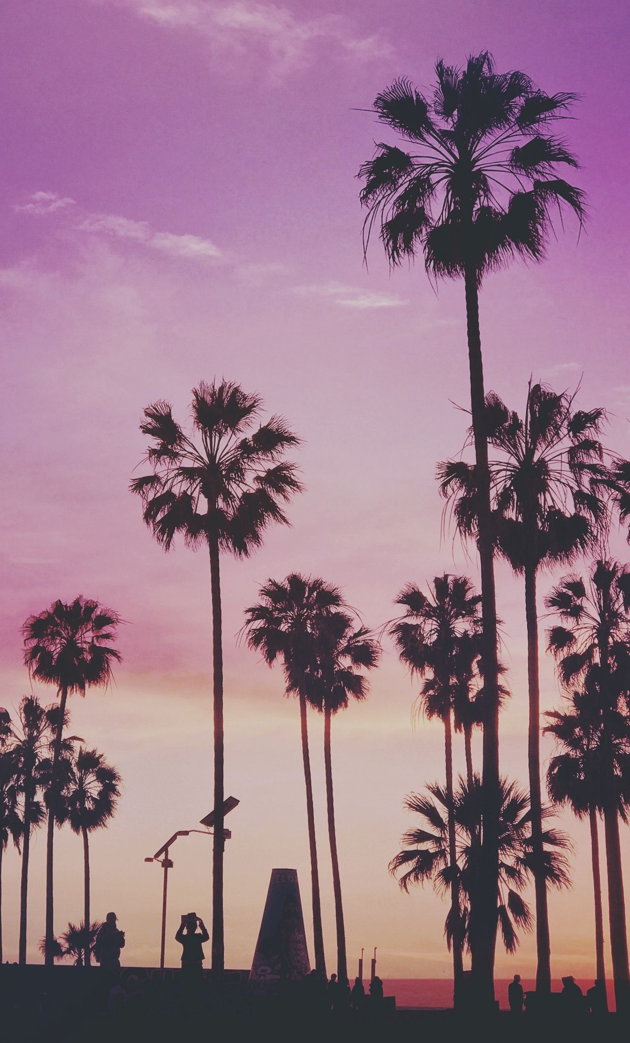 Download 1280x2120 wallpaper tropical, palm trees, miami sunset, iphone 6 plus, 1280x2120 HD image, background, 19176