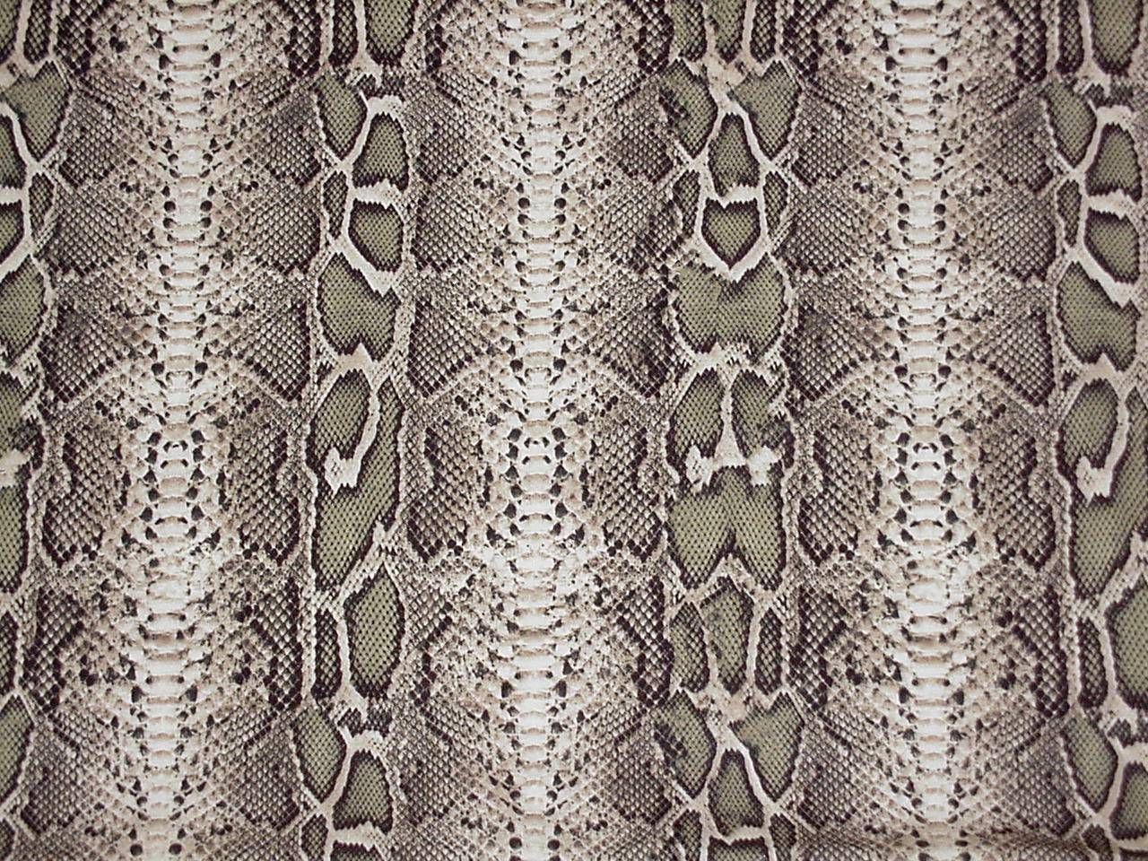 Bacardi- Animal Skin. Animal print wallpaper, Animal skin, Snake skin