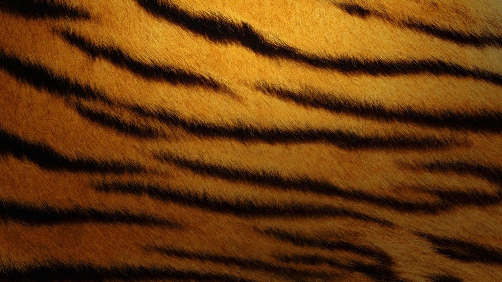 tigers skin animal print 1920x1080 wallpaper High Quality Wallpaper, High Definition Wallpaper
