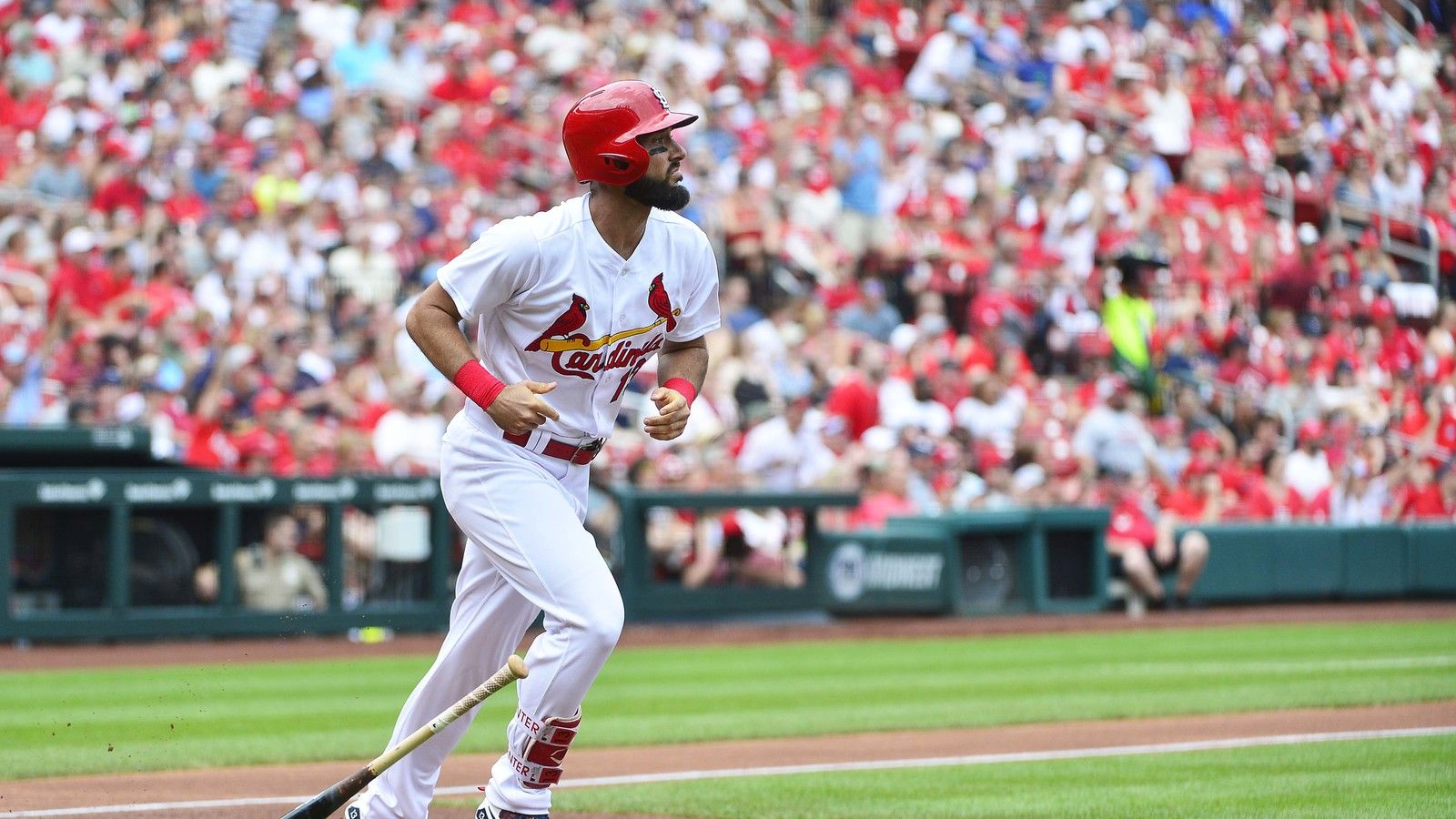 Free download Matt Carpenter Matt Carpenter Photos St Louis Cardinals v  [733x1024] for your Desktop, Mobile & Tablet, Explore 41+ Matt Carpenter  Wallpapers