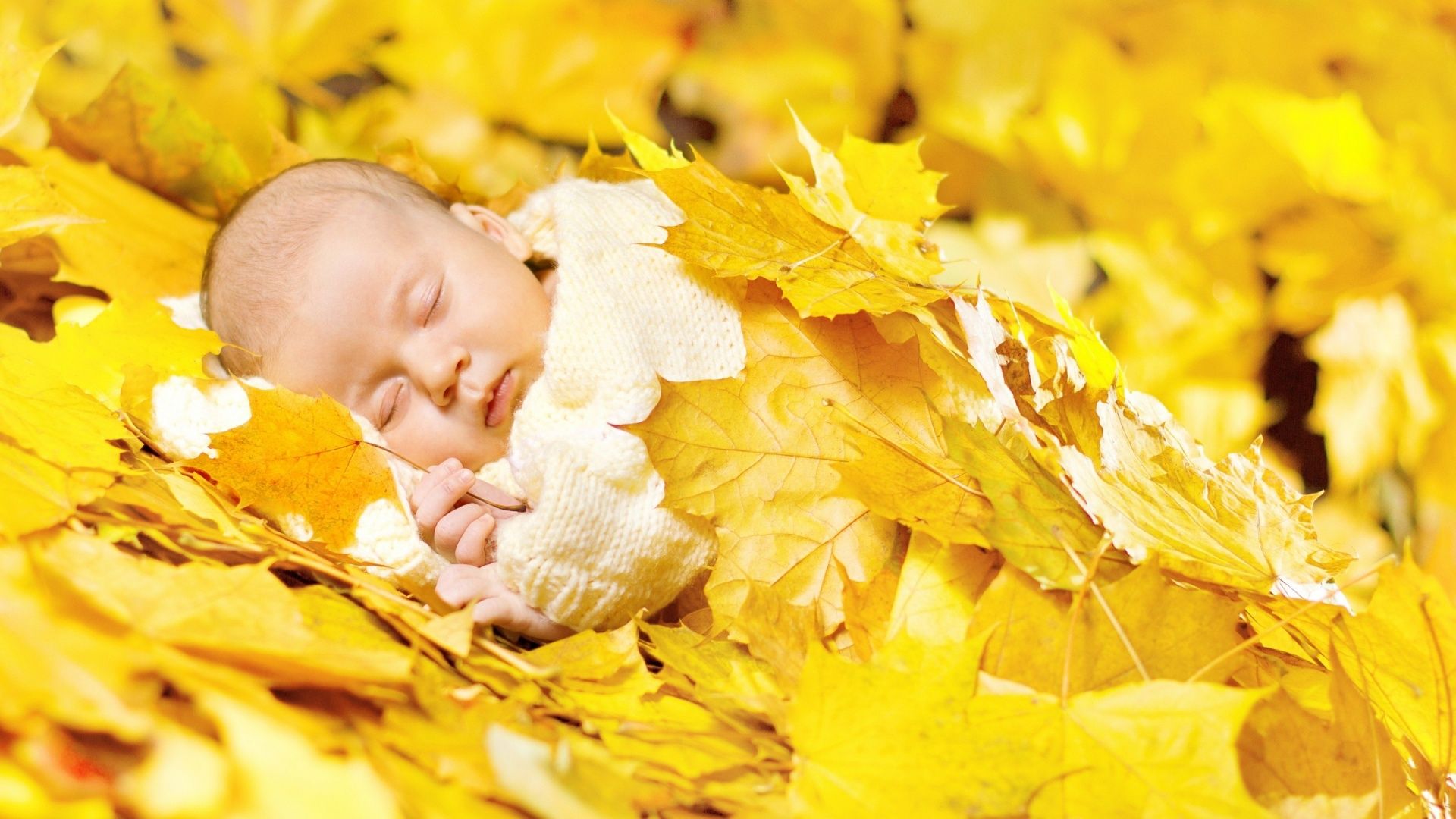 Baby Sleeping In Bright Autumn Leaves Wallpaper