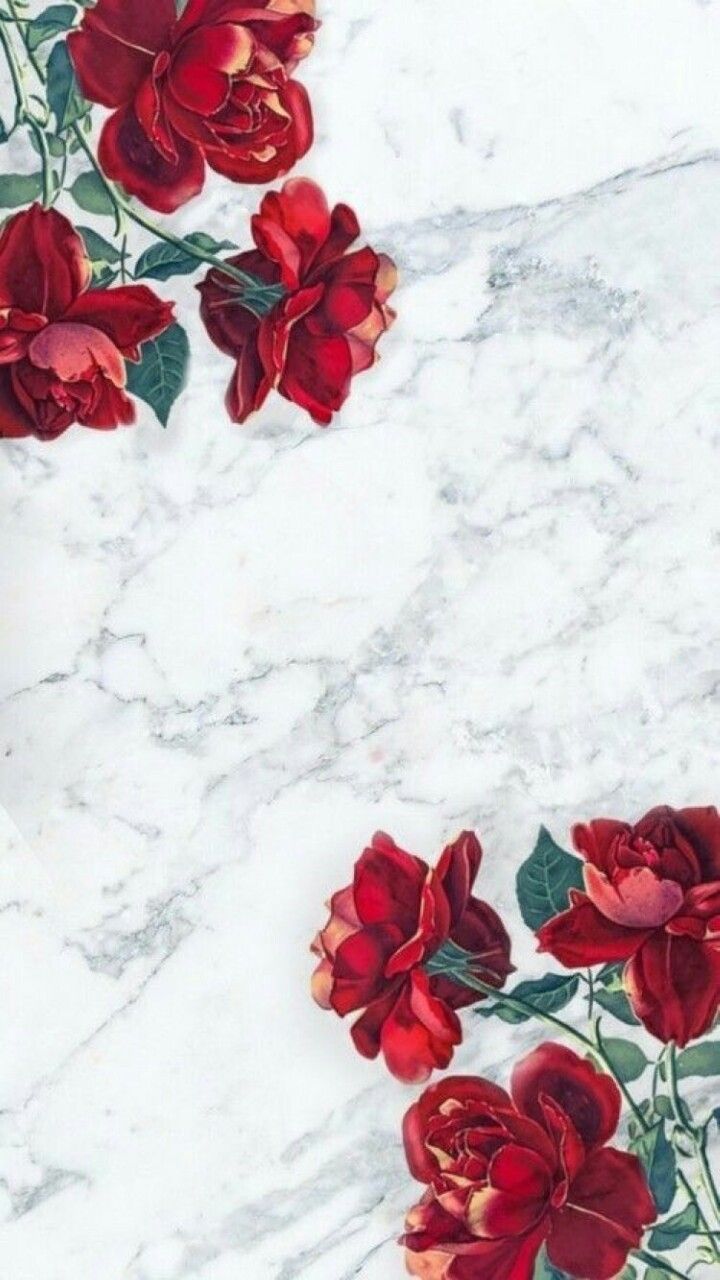 cute background •. Rose wallpaper, iPhone wallpaper, Wallpaper
