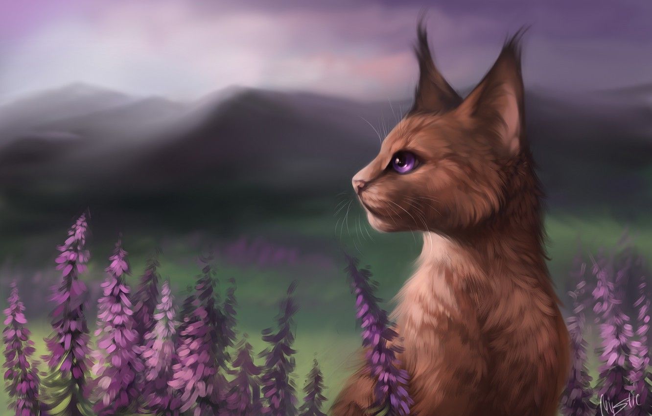 Wallpaper  Warrior cats, Warrior cats art, Warrior cat