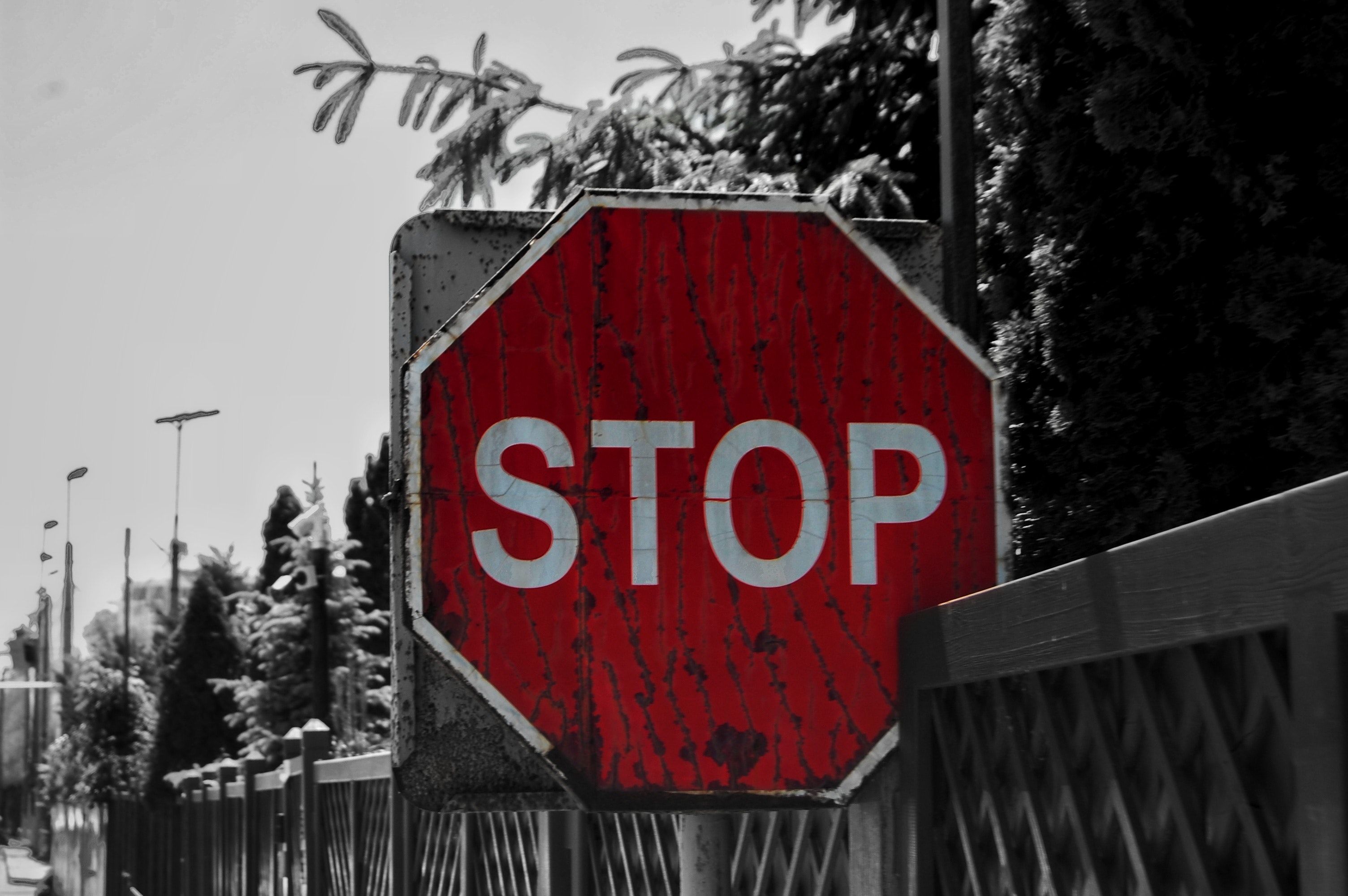 Free of road, road sign, stop