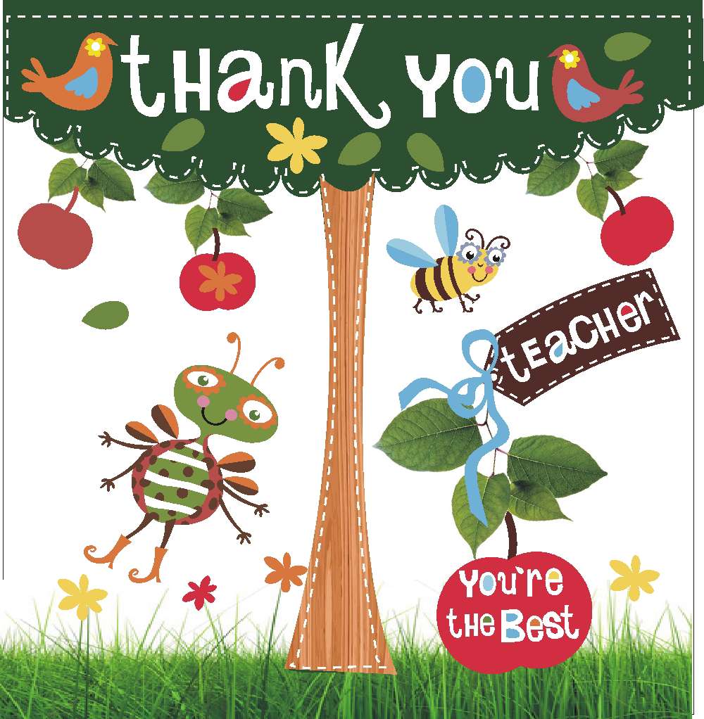 Thank you Teacher Wallpaper HD Wallpaper For free