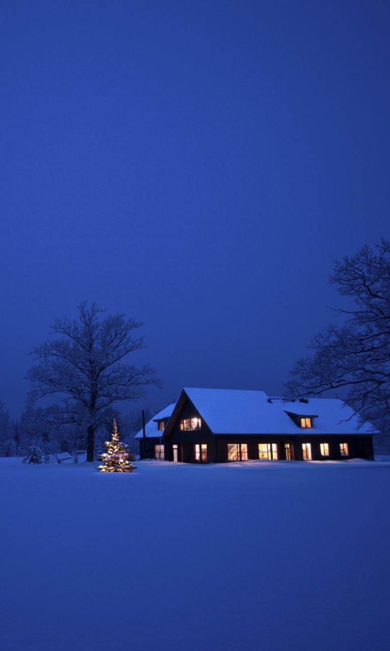 Lonely House, Winter Landscape And Christmas Tree Wallpaper for 768x1280. Beautiful wallpaper background, Winter landscape, Christmas tree wallpaper
