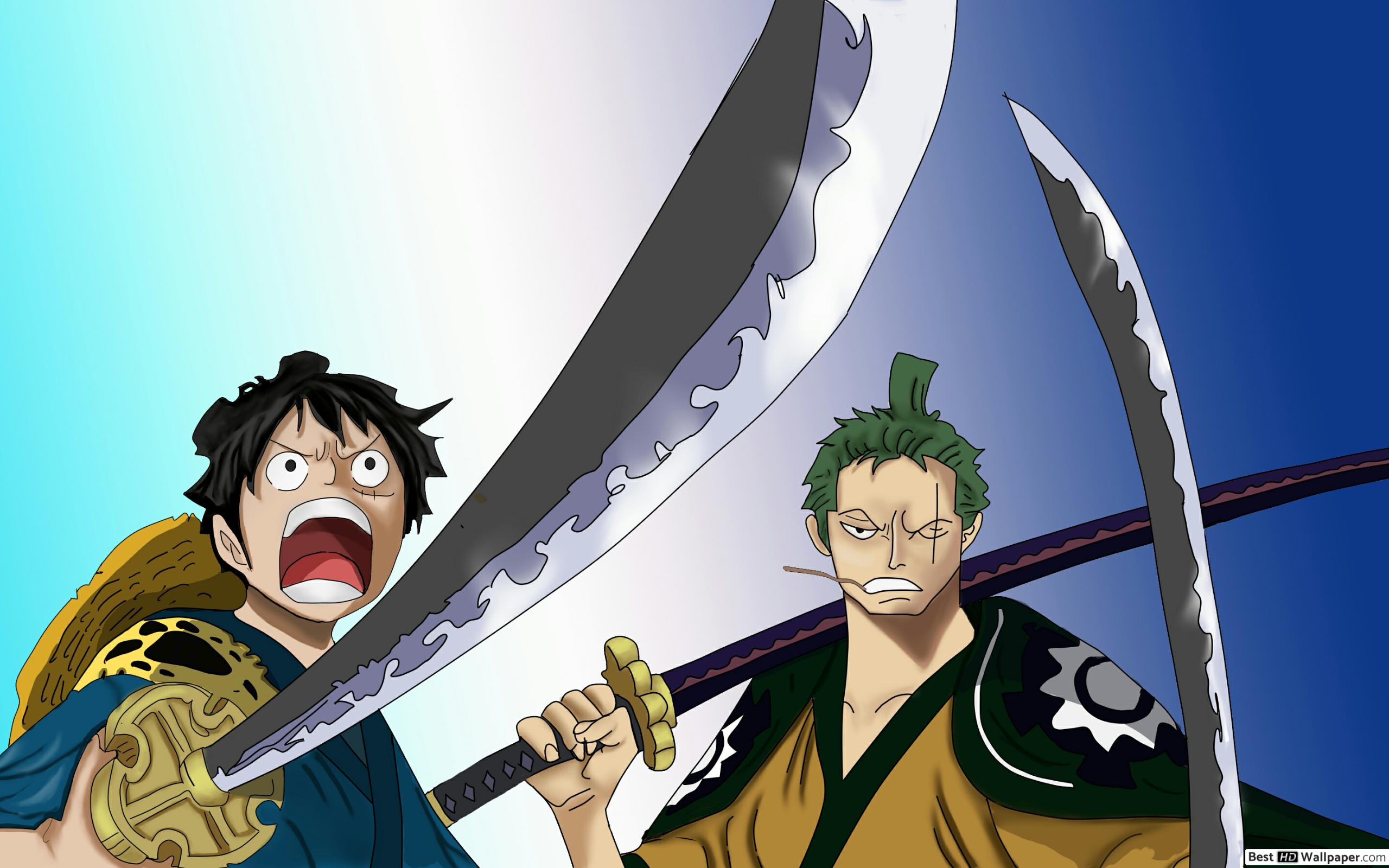 One Piece D. Luffy, Roronoa Zoro HD wallpaper download