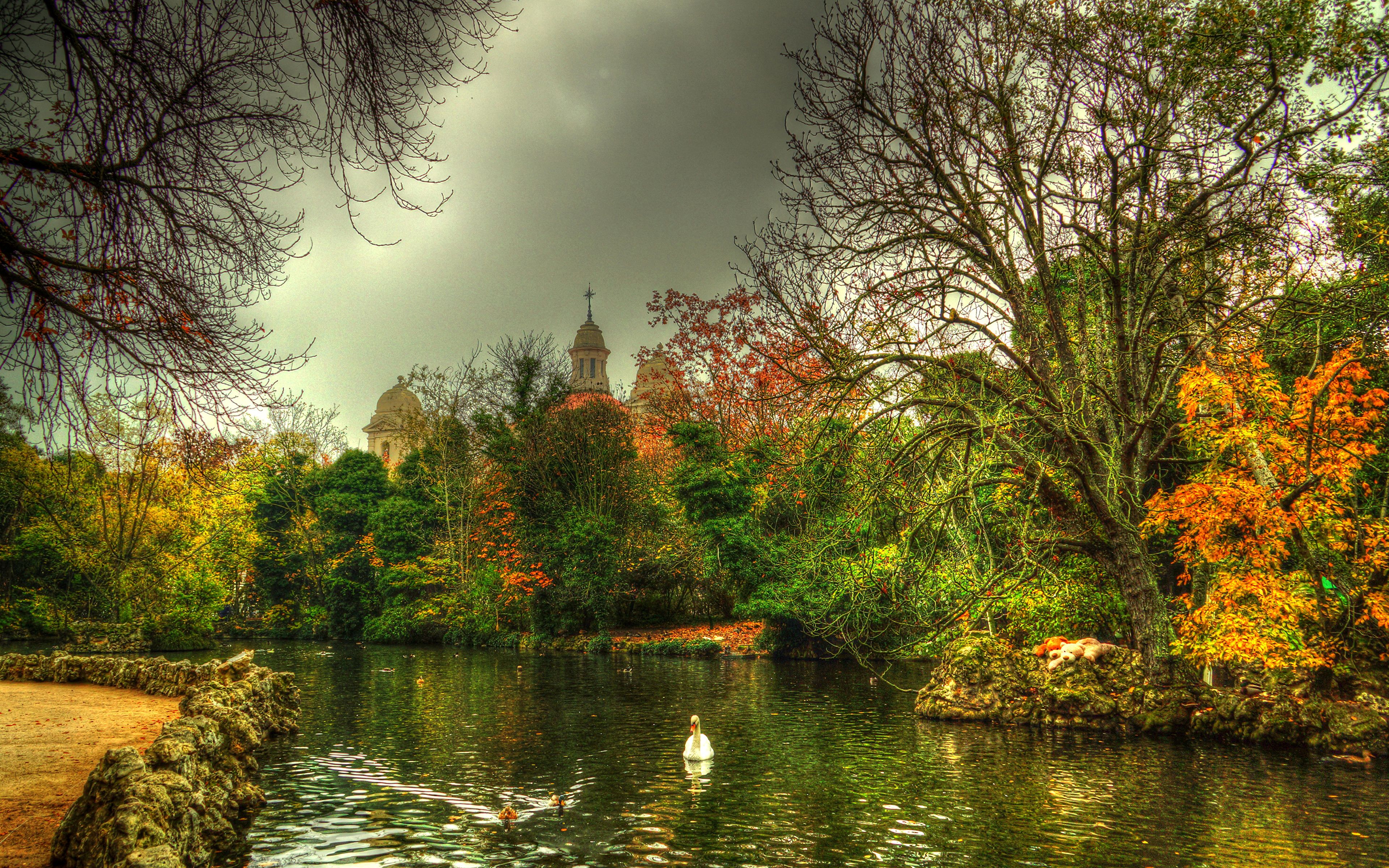 Picture Swans Spain Valladolid Castille and Leon Nature 3840x2400