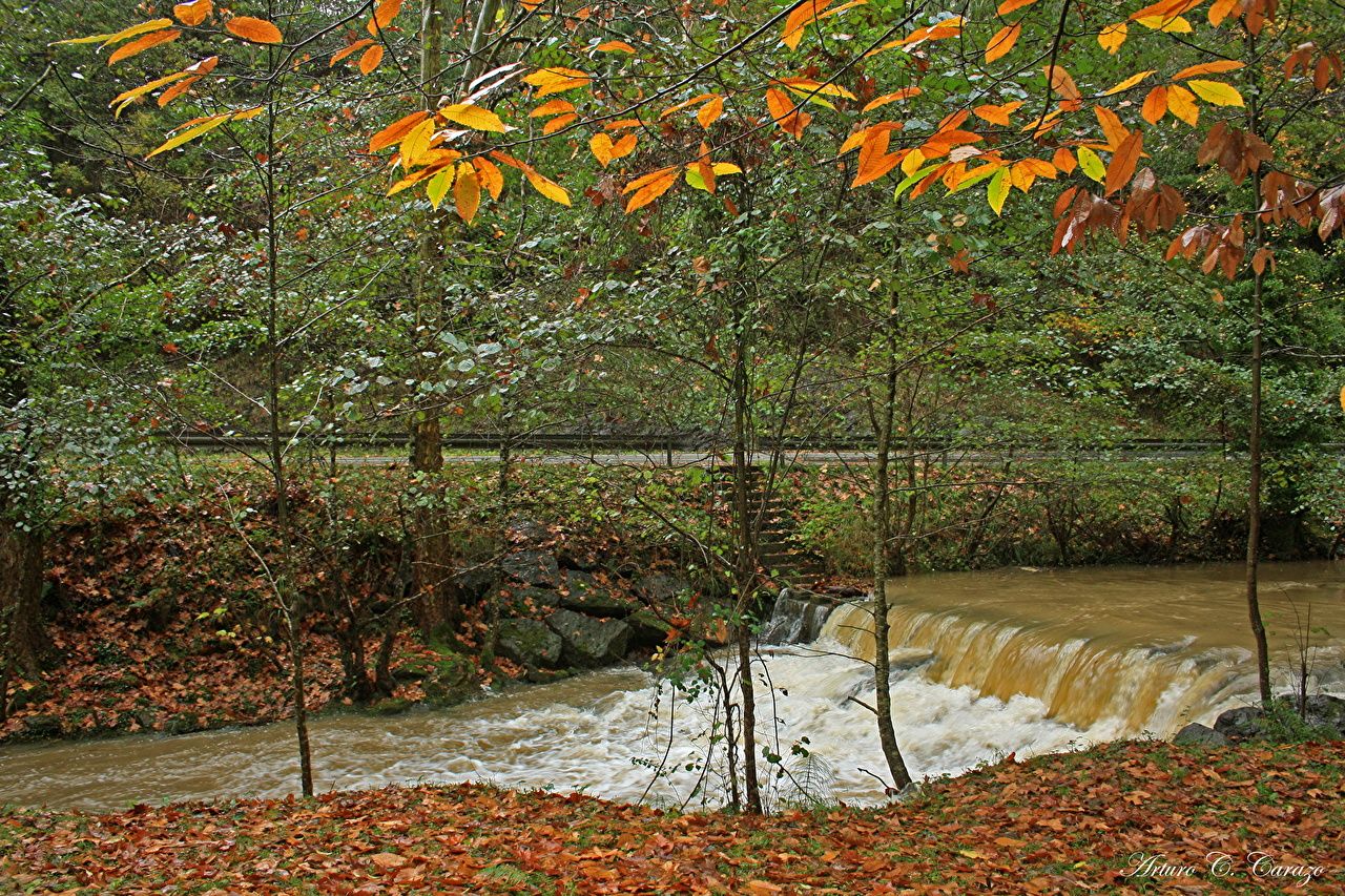 Desktop Wallpaper Spain Foliage Enkarterri Nature Autumn Rivers