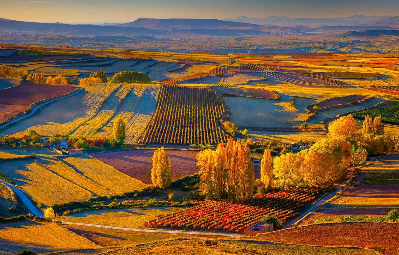 Wallpaper autumn, Spain, Rioja image for desktop, section природа