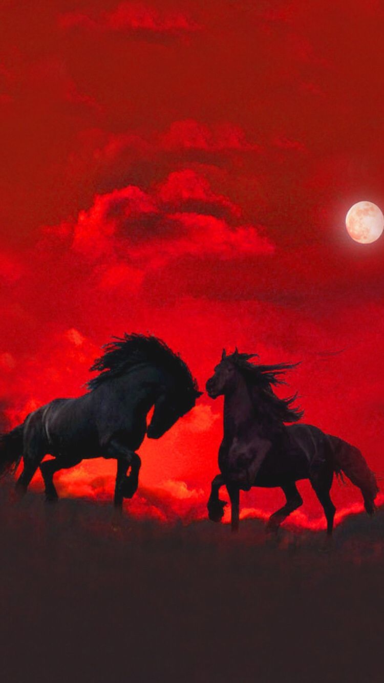 iPhone Red Horse Wallpaper HD