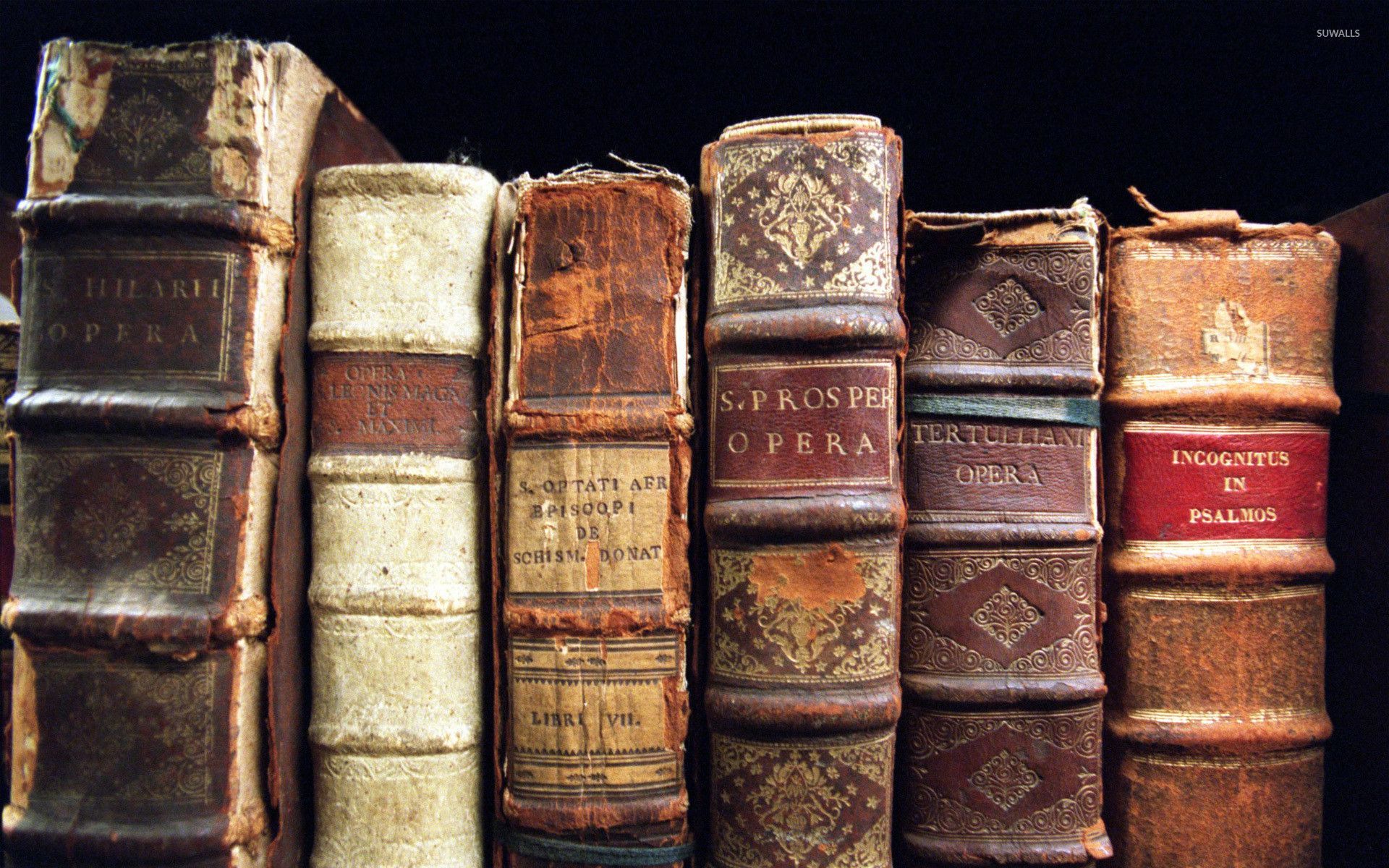 WM93480901 Bookshelf wallpaper antique vintage books brown book