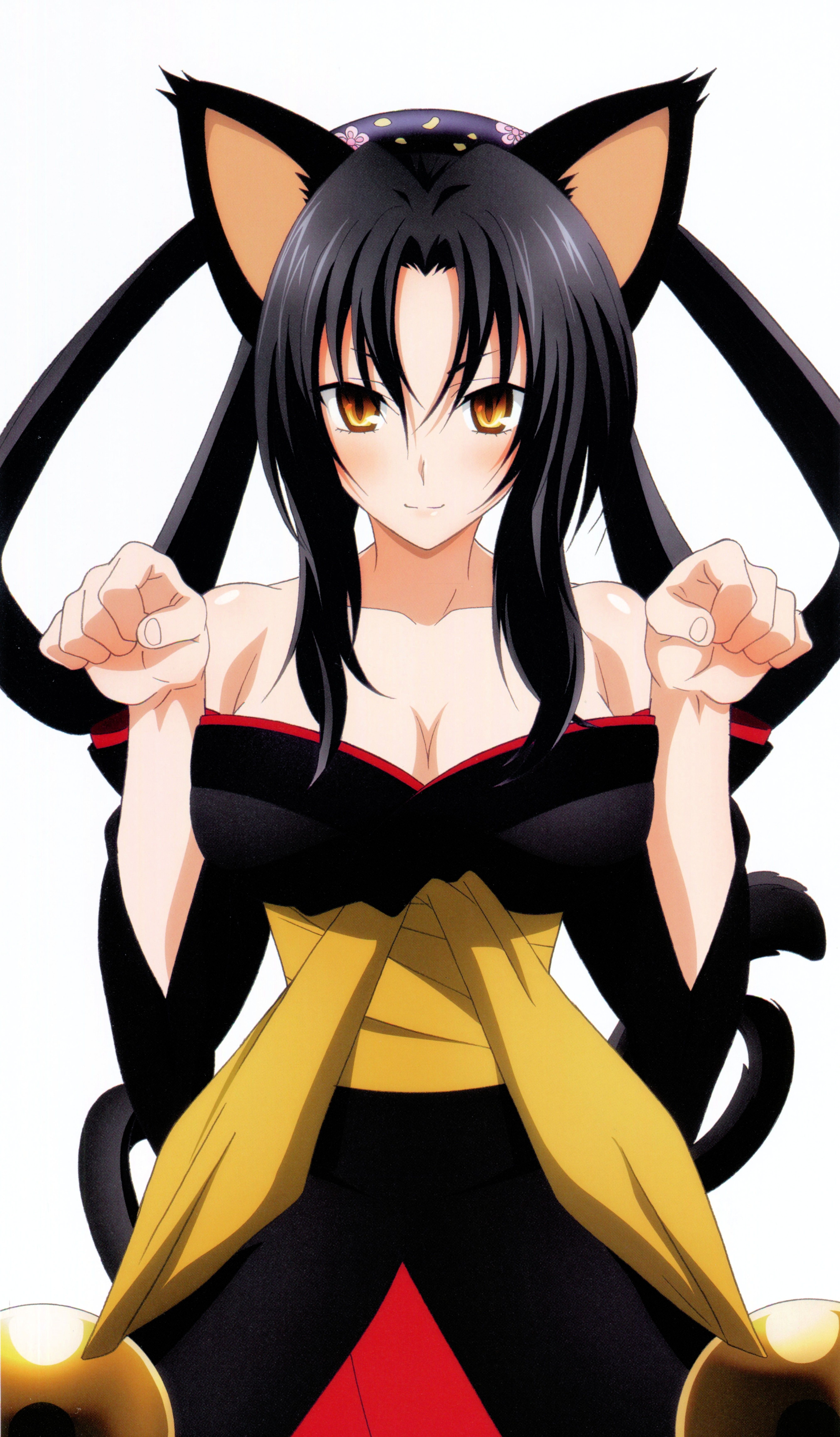 Kuroka (High School DxD) DxD Wallpaper Anime Image Board