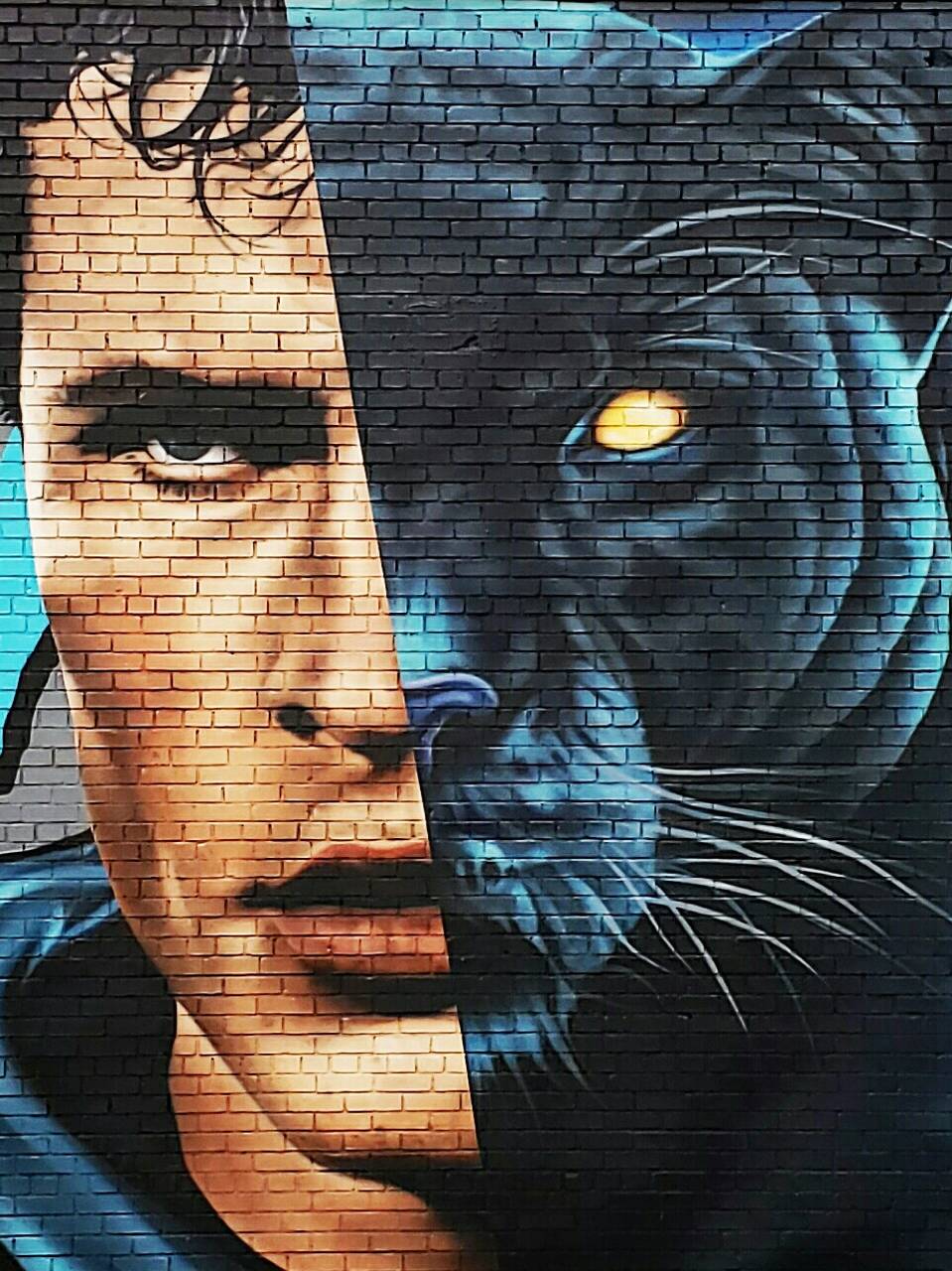 Luke Kuechly Panther wallpaper