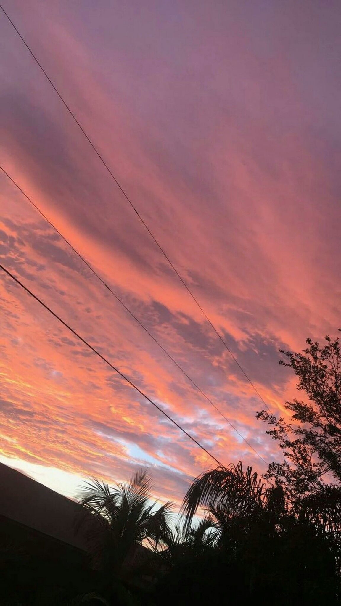 Sunset Skies Wallpaper