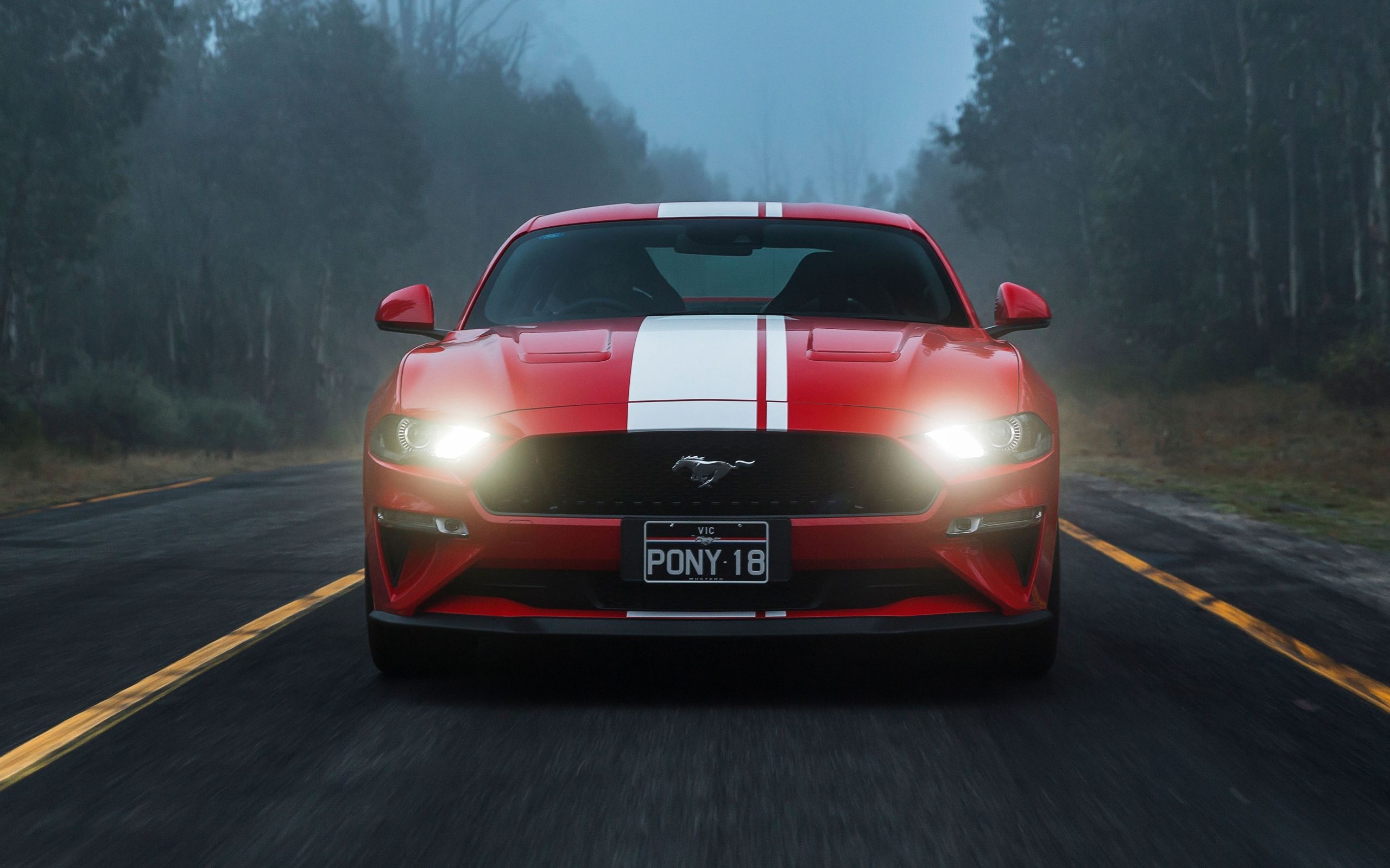 Ford Mustang GT, MuscleCar, Red, Car, Vehicle Wallpaper