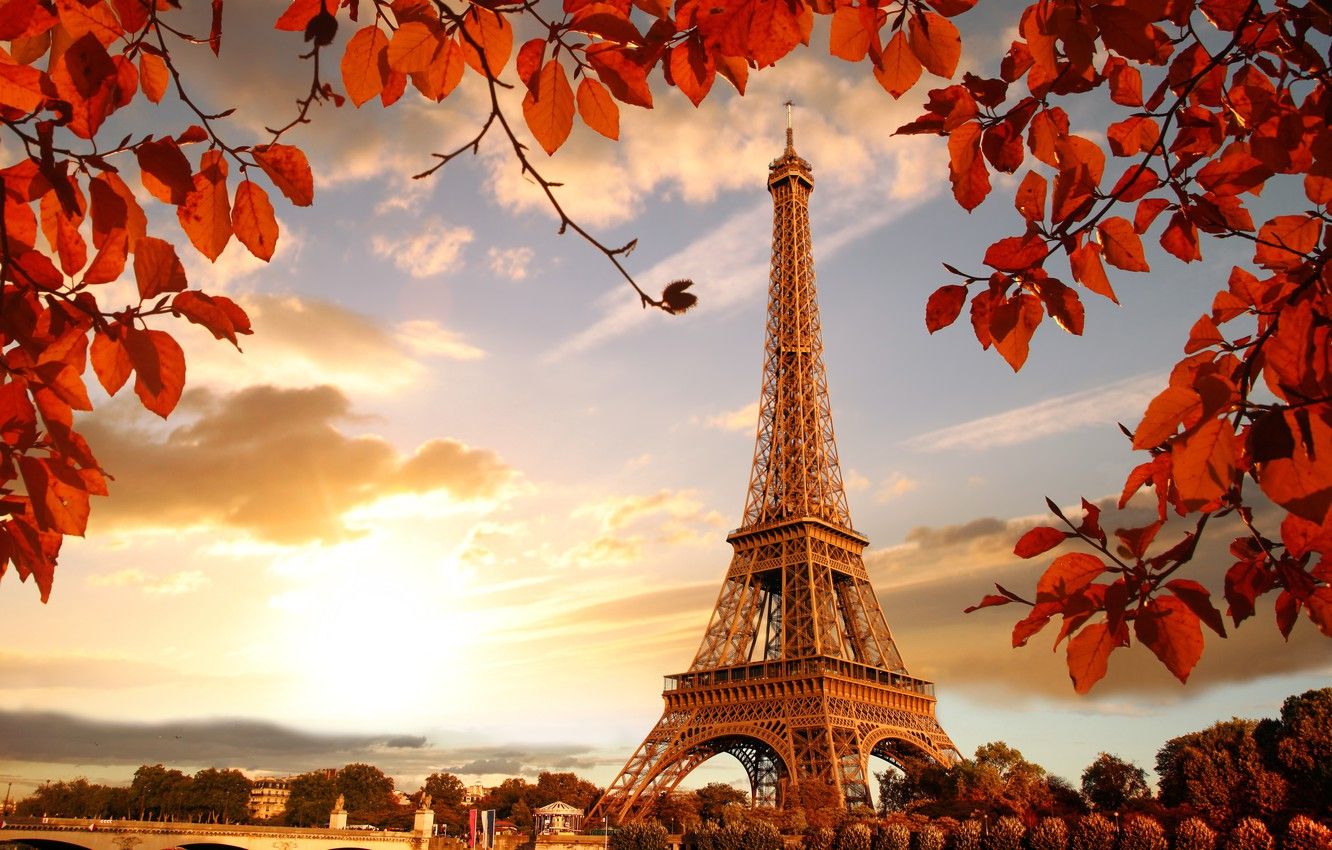 Wallpaper autumn, France, Paris, Paris, river, France, autumn, leaves, Eiffel Tower, cityscape image for desktop, section город