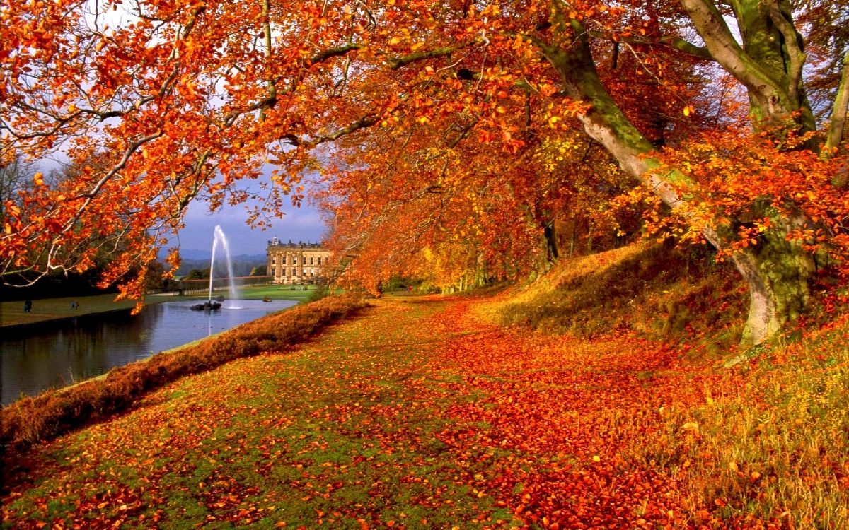 fall autumn wallpaper red leaves france