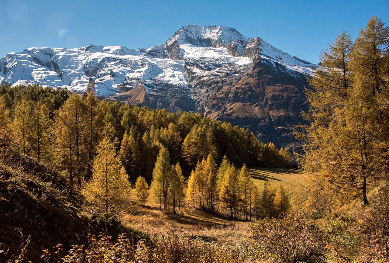 France Autumn Wallpapers - Wallpaper Cave