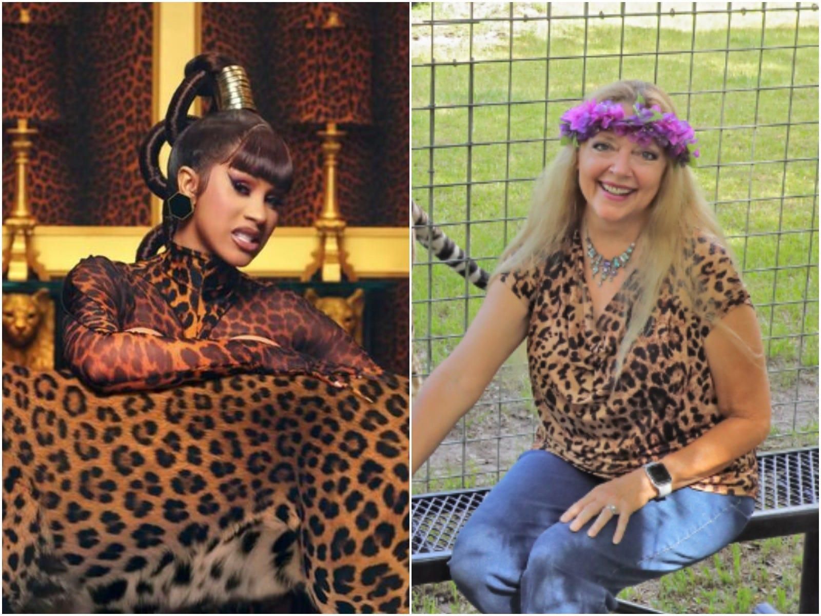 Carole Baskin criticized Cardi B and Megan Thee Stallion's use of big cats in their 'WAP' video