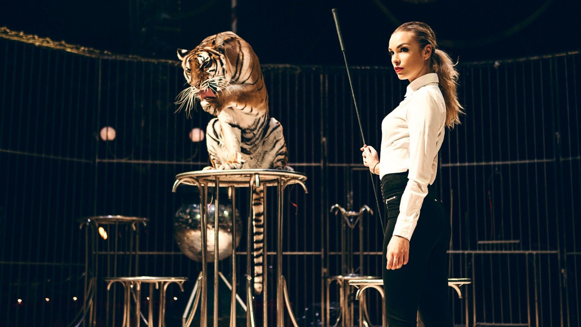 #tiger, #blonde, #whips, #red lipstick, #looking away, #ponytail, #tight clothing, #shirt, #wild cat, #long hair, #animals, #training, #women, #model, #circus, #cages, wallpaper. Mocah.org HD Wallpaper