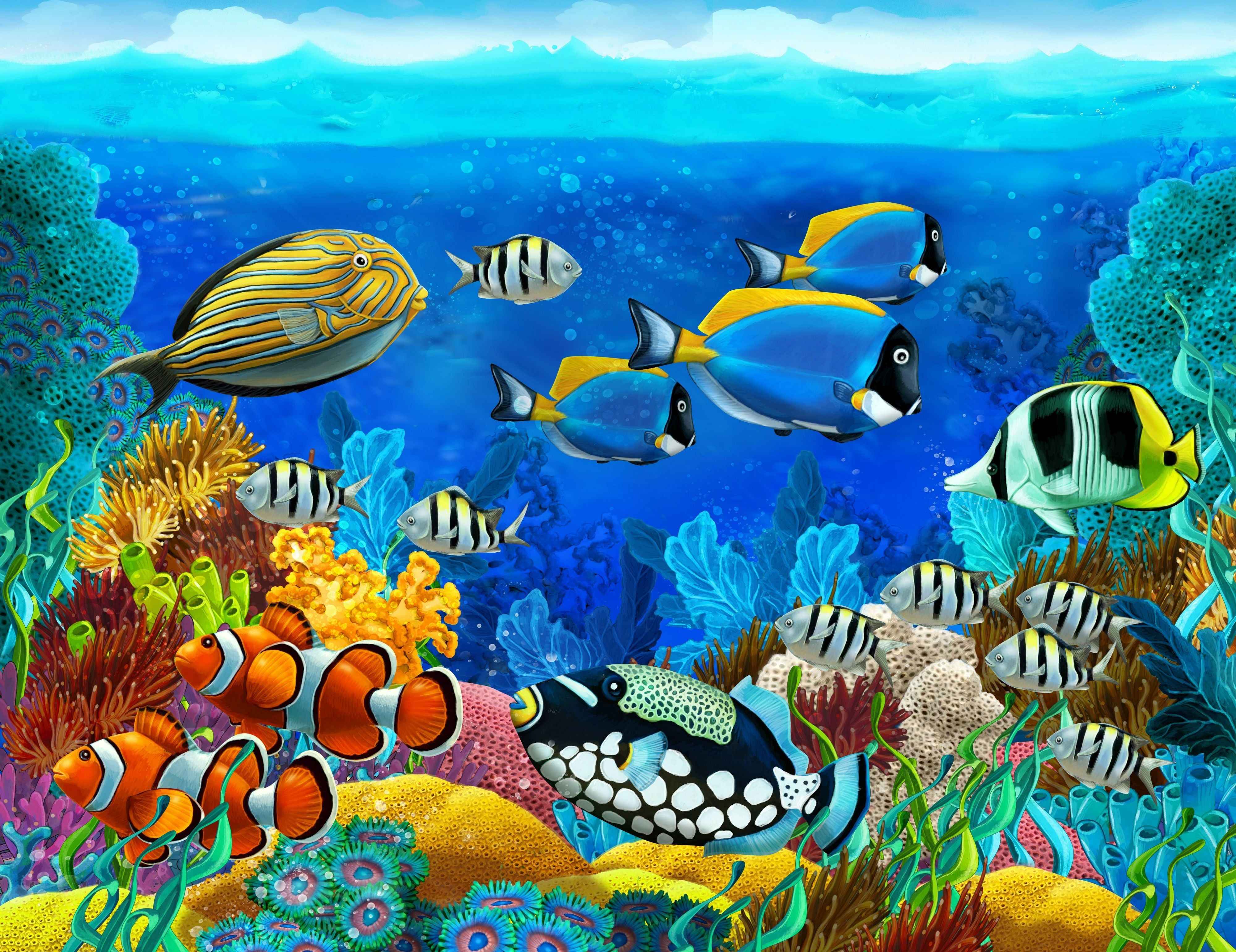 sea, Seabed, Fish, Corals, Underwater, Ocean, Tropical Wallpaper HD / Desktop and Mobile Background