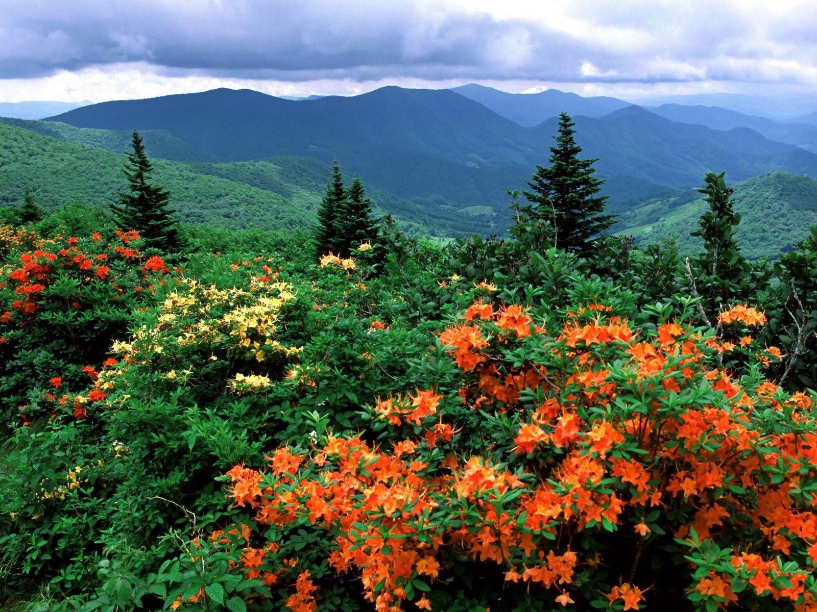 Free download Beauty Appalachian Mountains Extreme Hiking Trail Outdoor [1600x1200] for your Desktop, Mobile & Tablet. Explore Appalachian Mountains Wallpaper. Mountain Sunset Wallpaper, Hiking Wallpaper HD, North Carolina Mountains Wallpaper