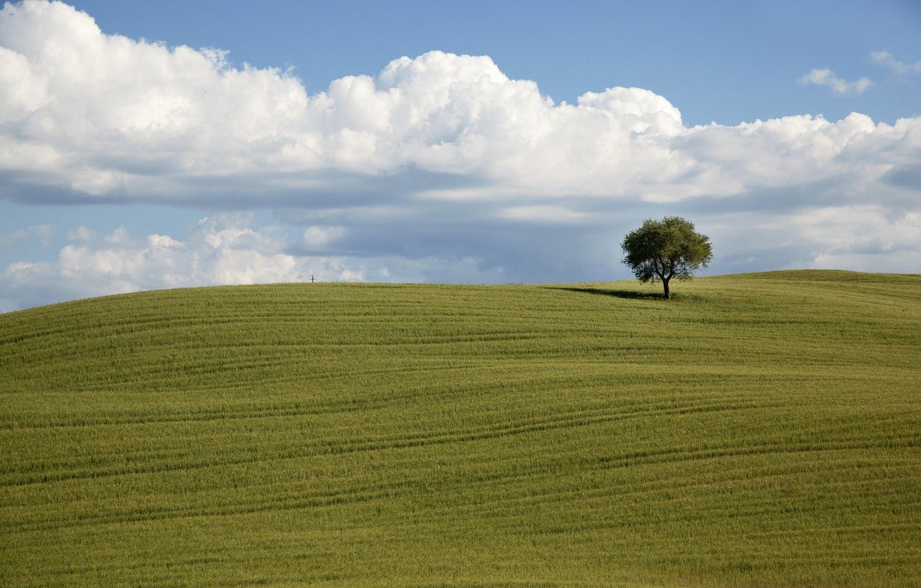 Wallpaper green, field, clouds, tree, countryside, farm, farmland, countryside scene image for desktop, section пейзажи