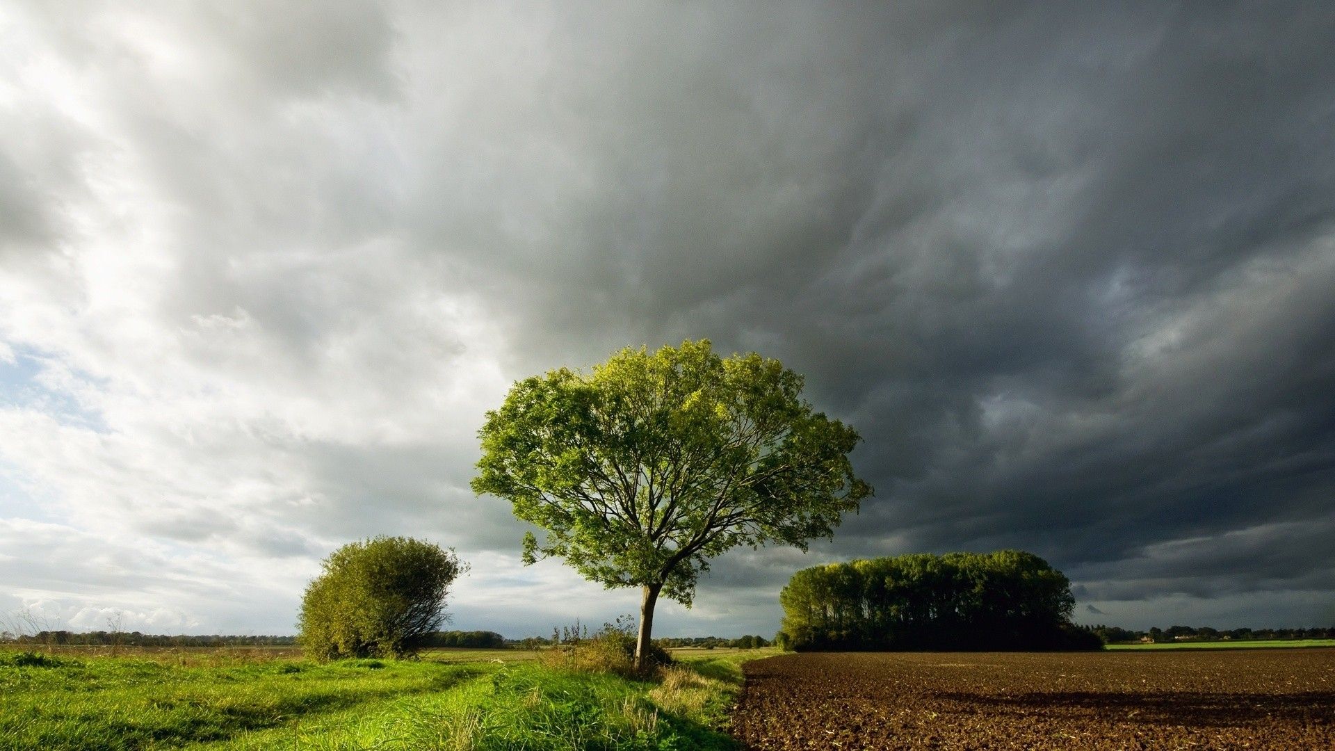 Summer Storm Clouds
