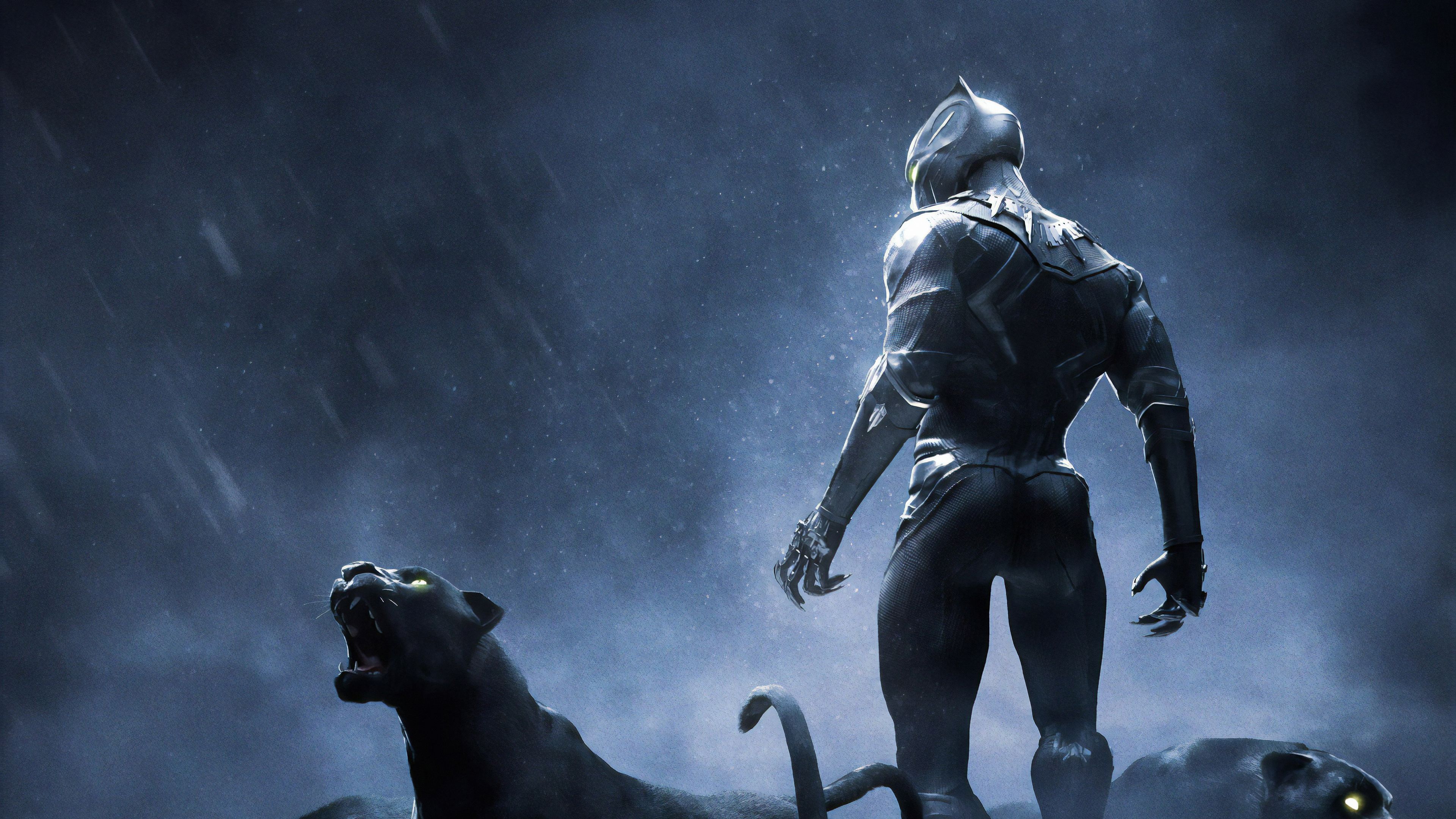 Black Panther Computer Wallpapers Wallpaper Cave