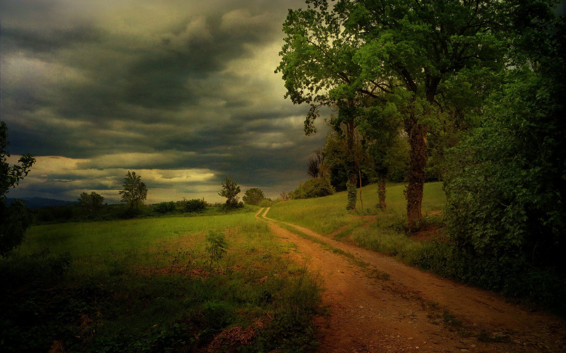 Storm Dirty Road Trees Plants desktop PC and Mac wallpaper