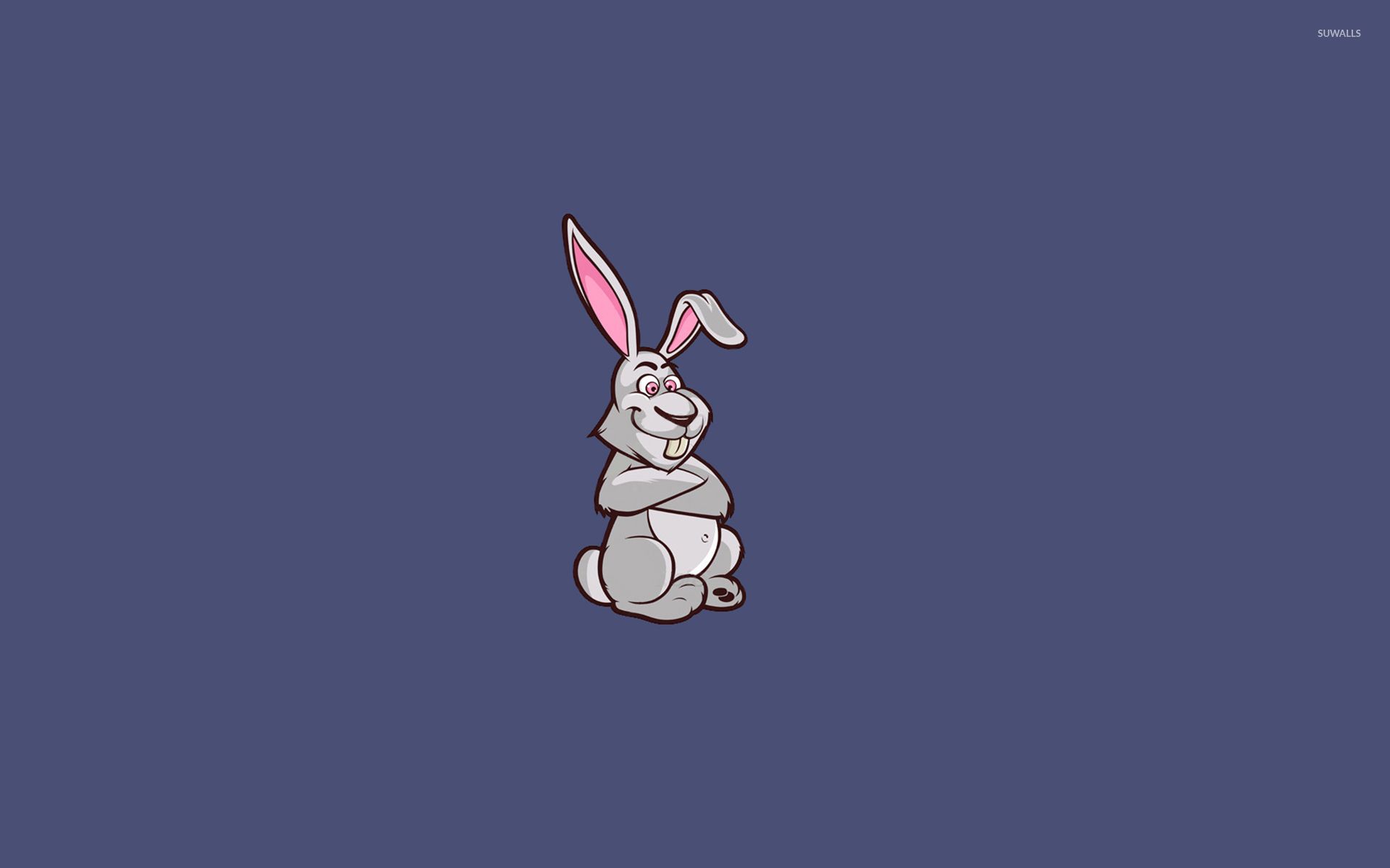 Funny bunny wallpaper wallpaper