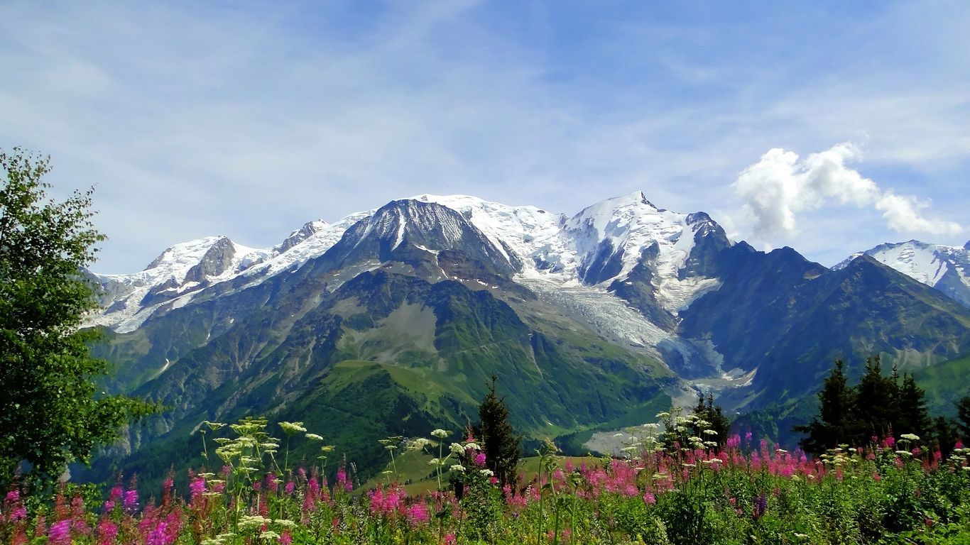 Download desktop wallpaper Mont Blanc, the Alps. Valley of flowers, Uttarakhand, National parks