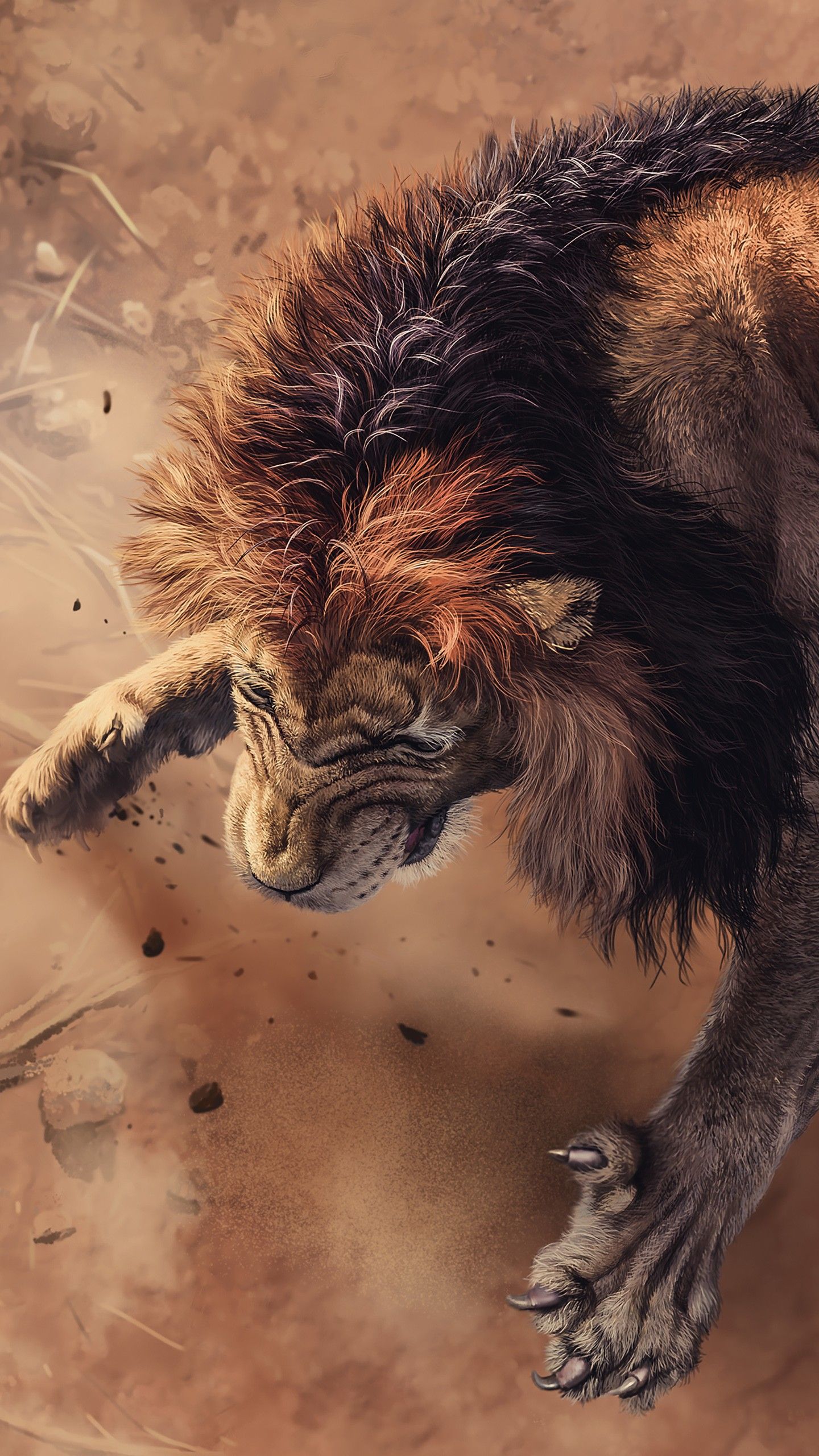 Wild African Lion 4K Wallpaper