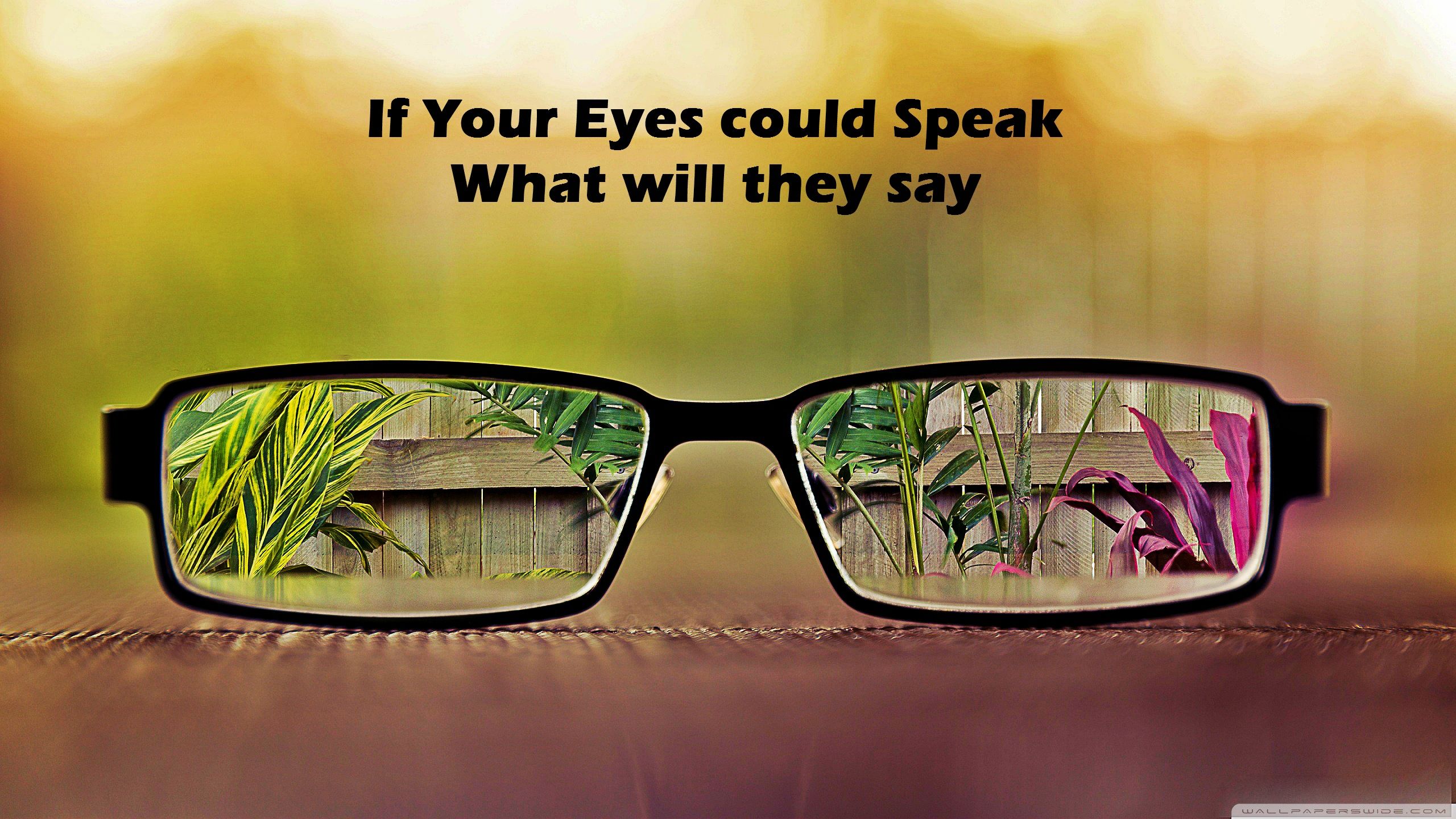 if your eyes could speak what would they say Ultra HD Desktop Background Wallpaper for 4K UHD TV