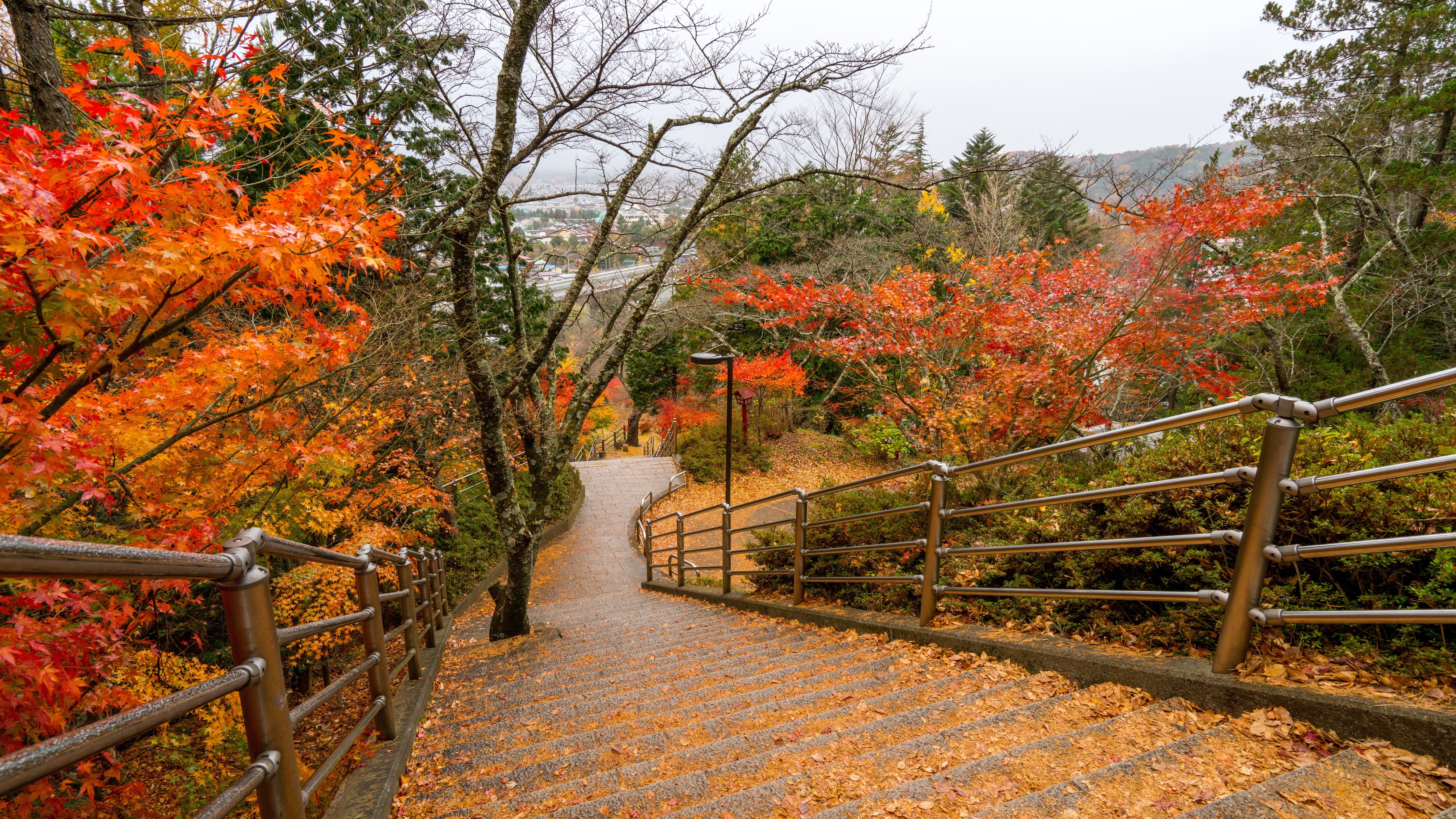 Wallpaper Park, trees, steps, high, autumn 7680x4320 UHD 8K Picture, Image