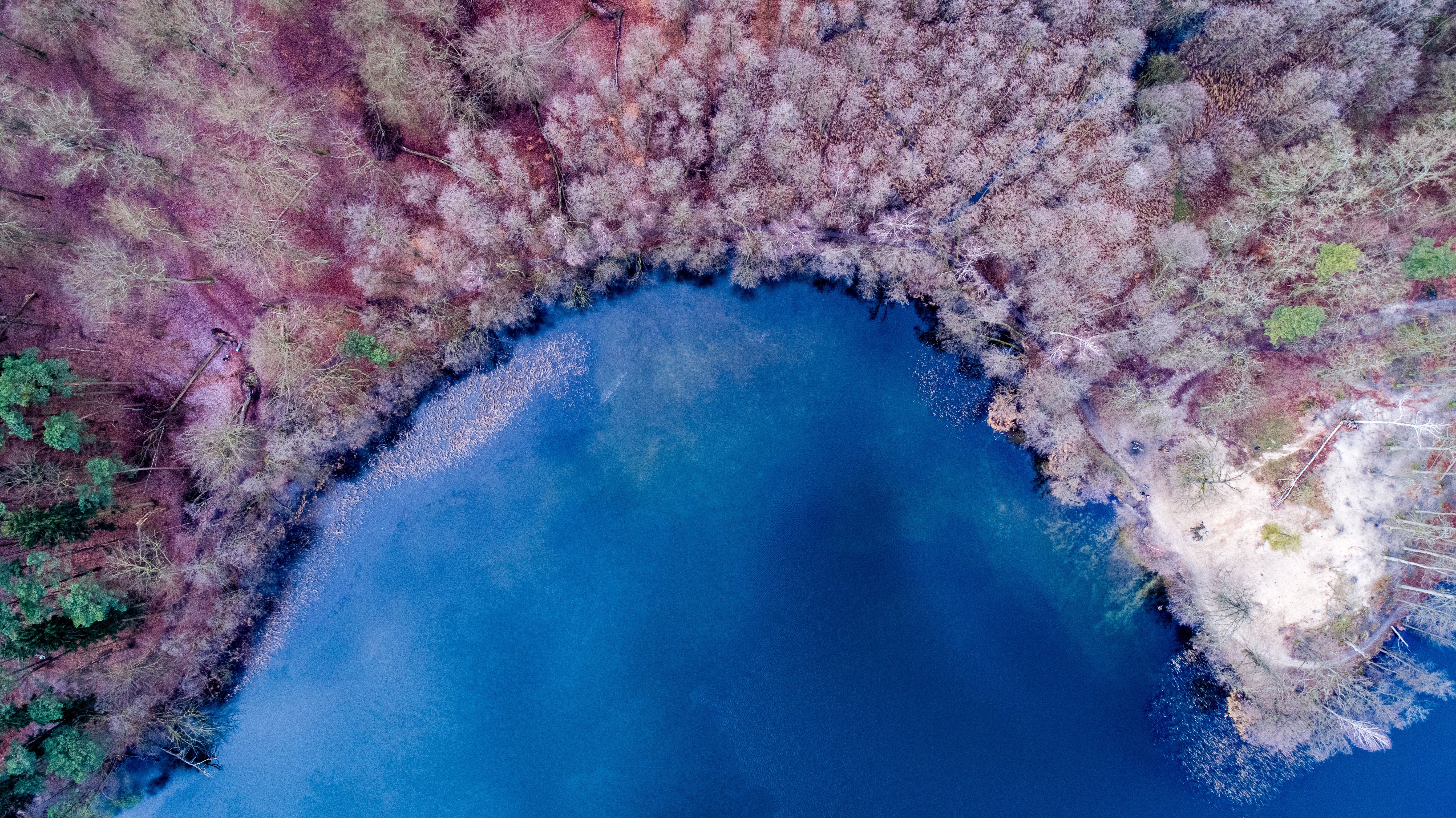 Nature Background Color Lake Forest Colorful, HD Nature, 4k Wallpaper, Image, Background, Photo and Picture