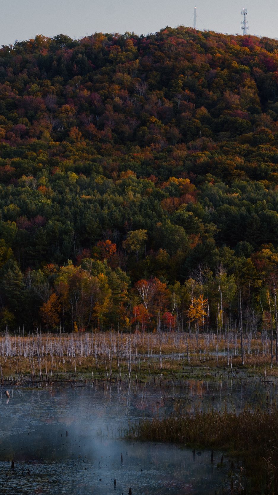 Download Wallpaper 938x1668 Trees, Colorful, Lake, Hill Iphone 8 7 6s 6 For Parallax HD Background