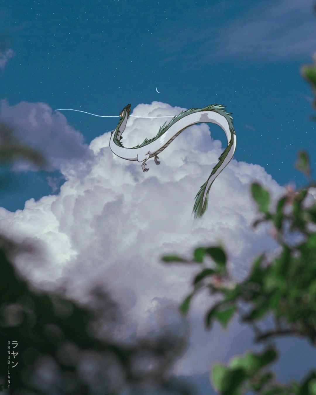 Obnubilant ラヤン