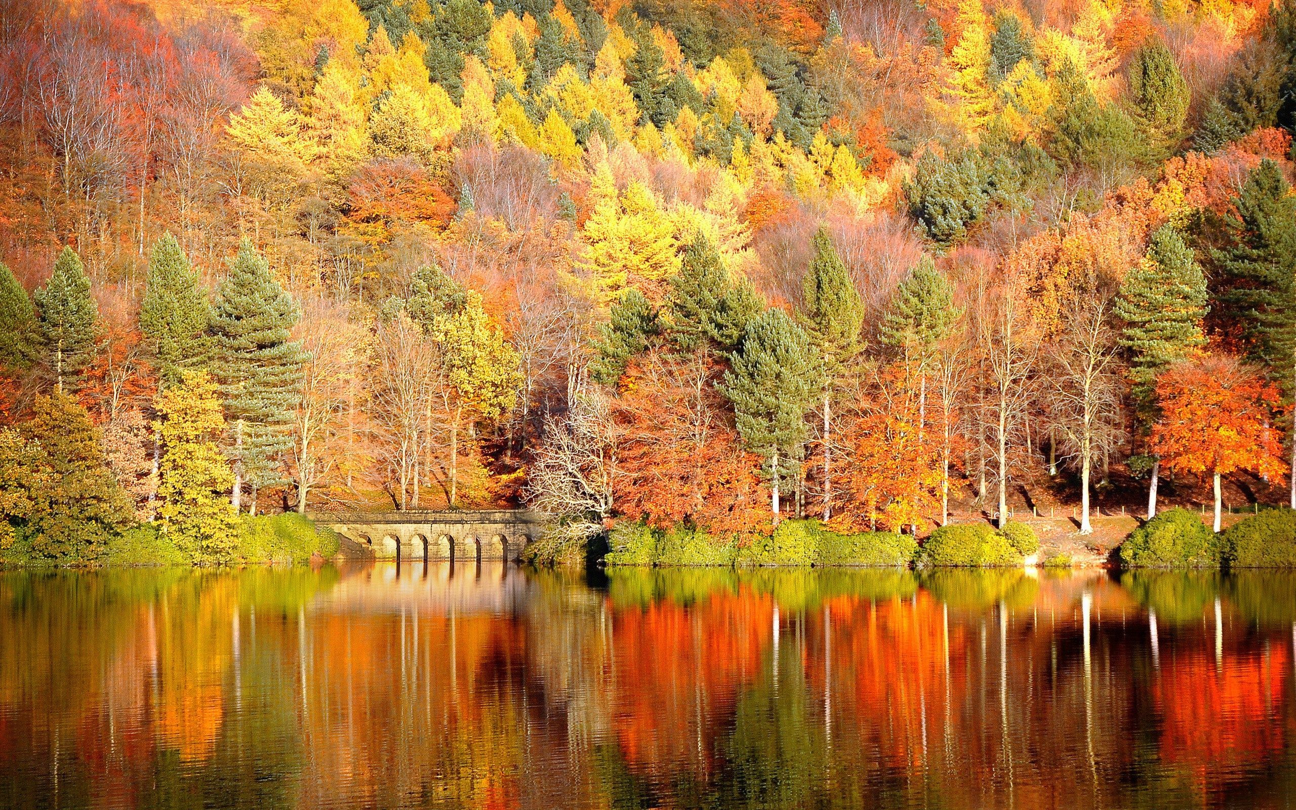 Free screensaver fall. Desktop wallpaper fall, Autumn landscape, Scenery wallpaper